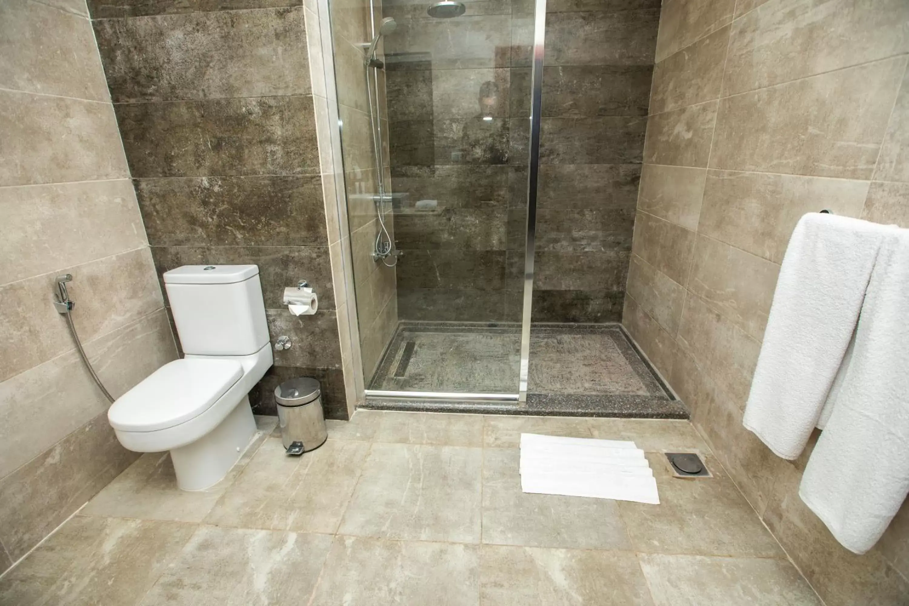 Shower, Bathroom in AIFU Hotel El Montazah Alexandria