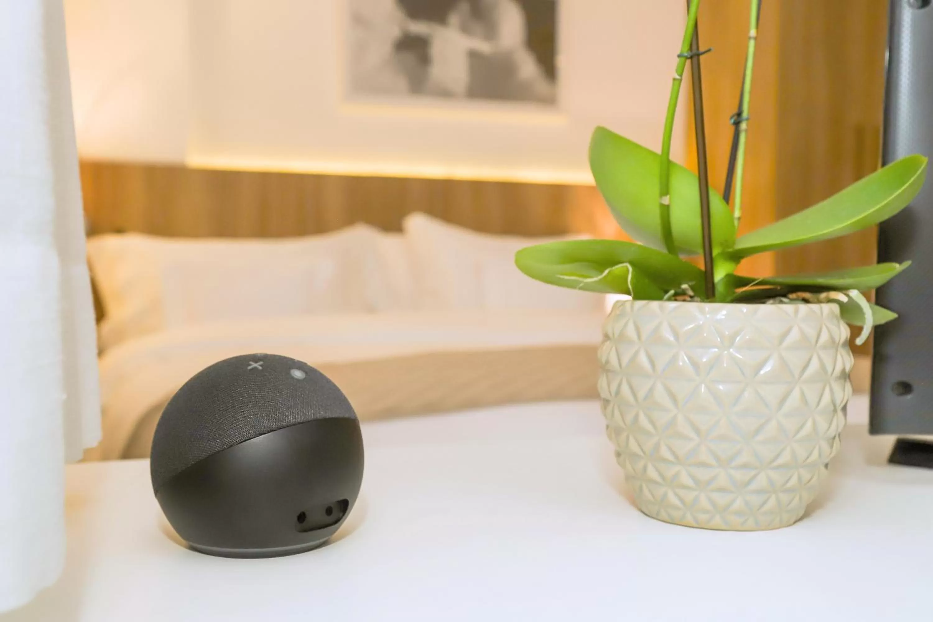 Master Suite in Promenade Soho Campos dos Goytacazes