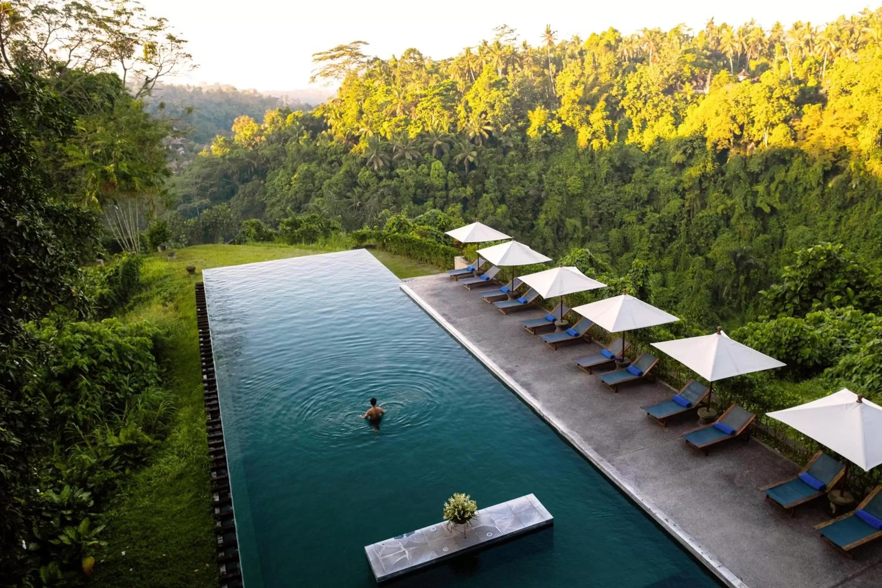 Pool View in Alila Ubud