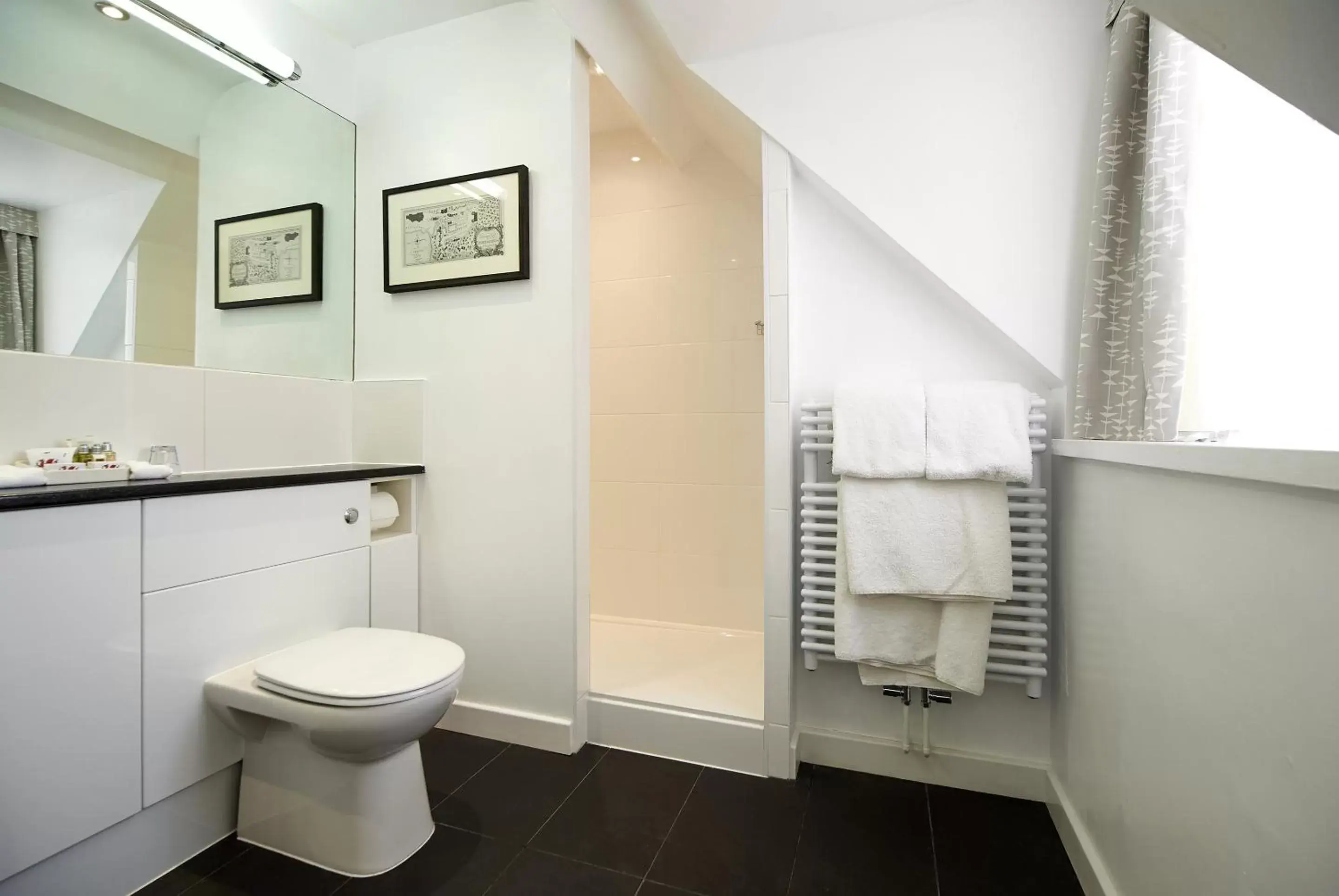 Bathroom in Portmeirion Village & Castell Deudraeth