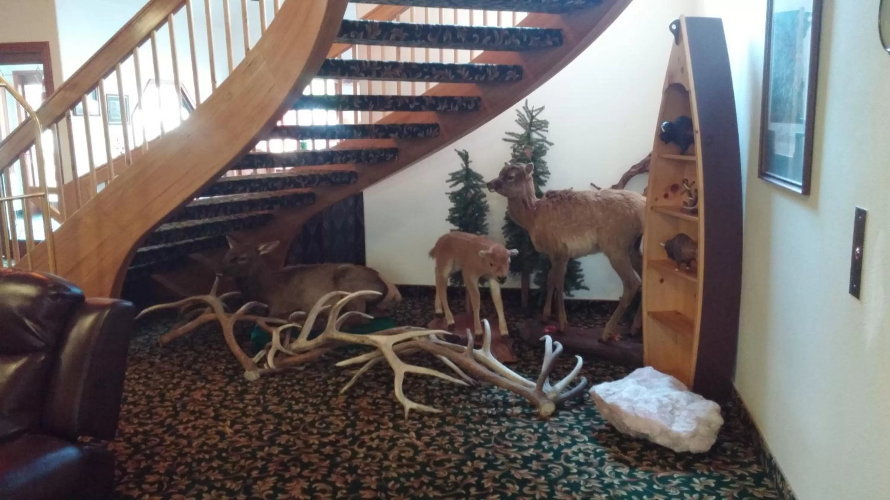 Lobby or reception in Greenwood Village Inn & Suites