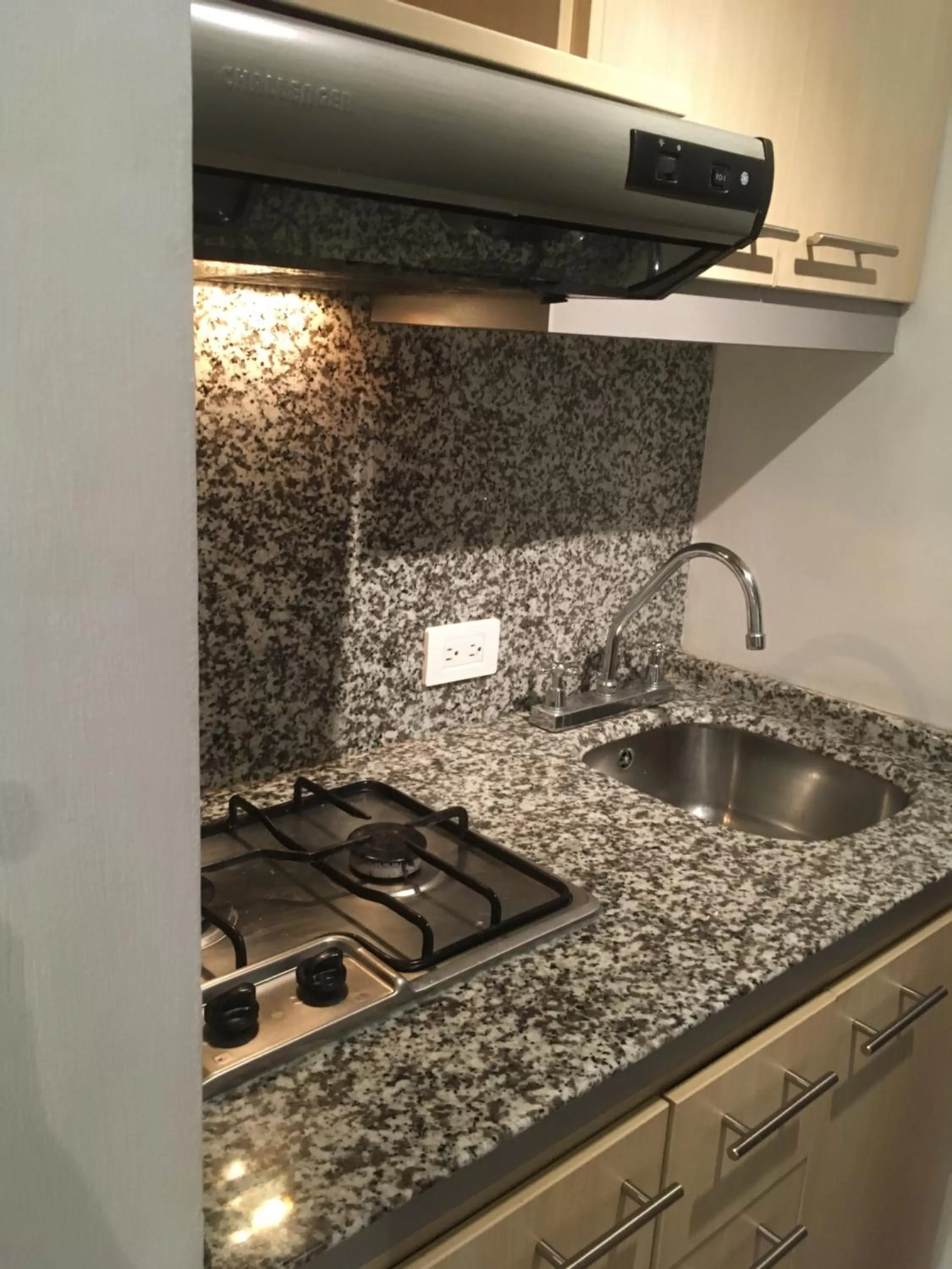 Kitchen or kitchenette in Suites Parque Real