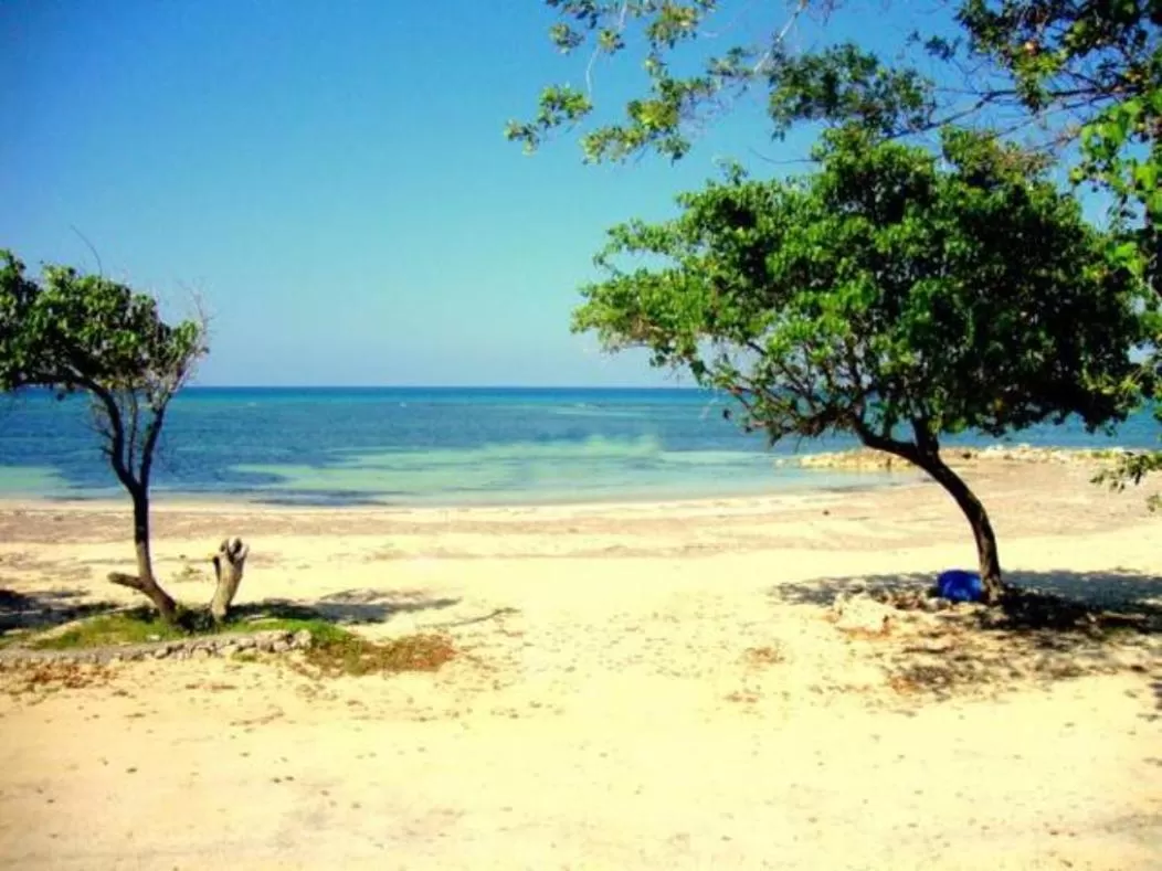 Seacastles by the beach/pool