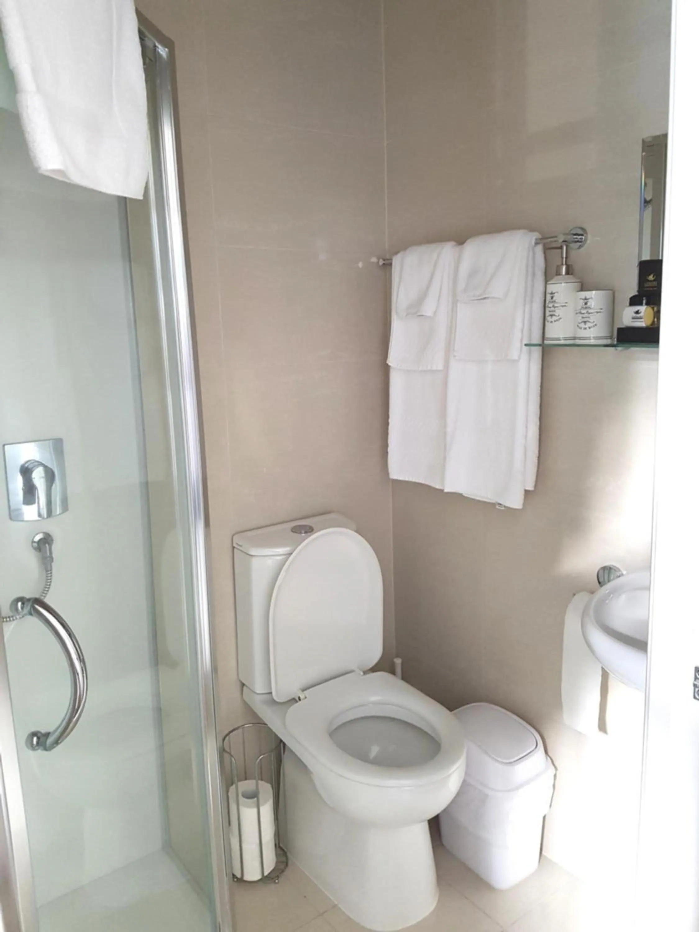 Toilet in Ponsonby Manor