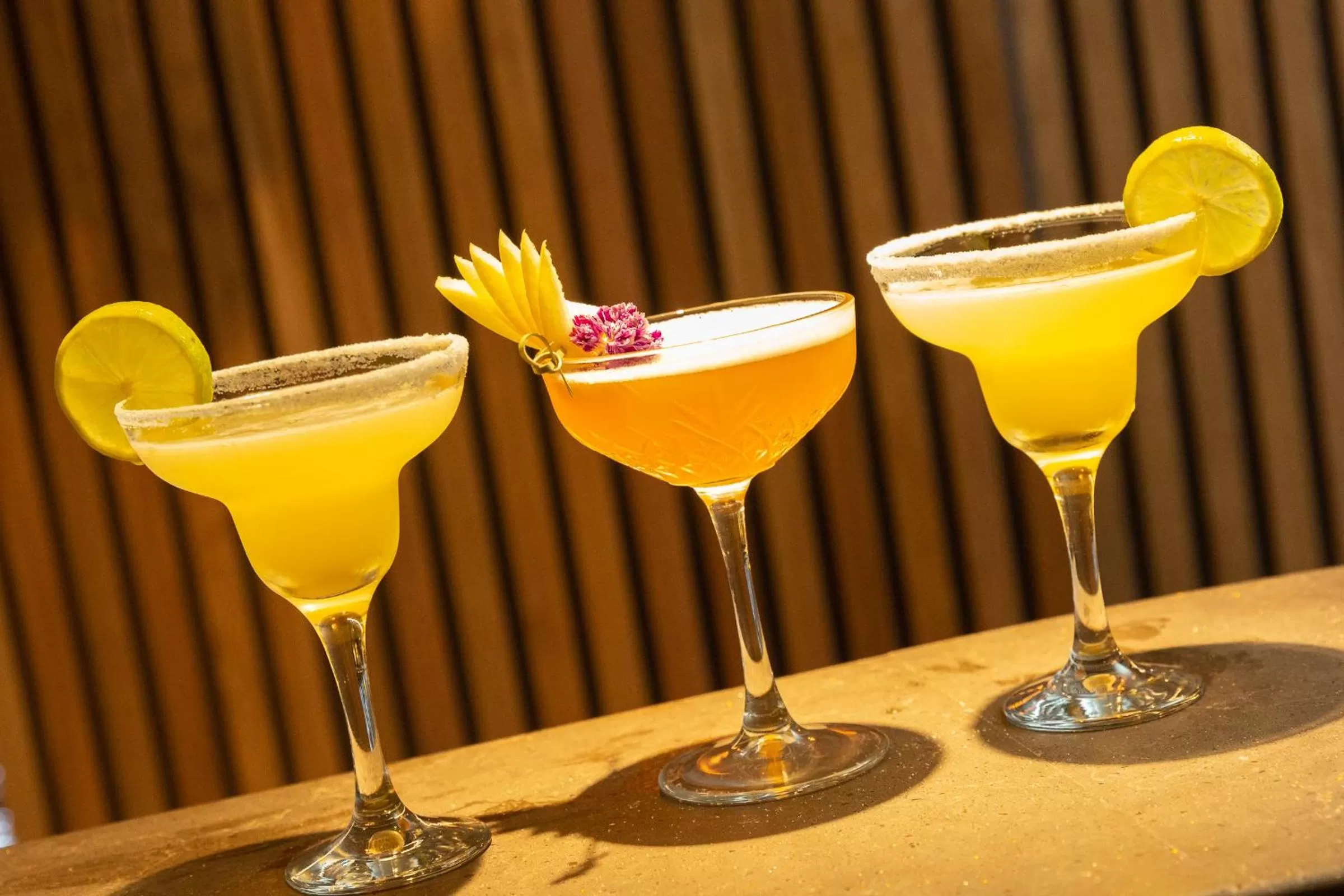 Lounge or bar in The Glasshouse