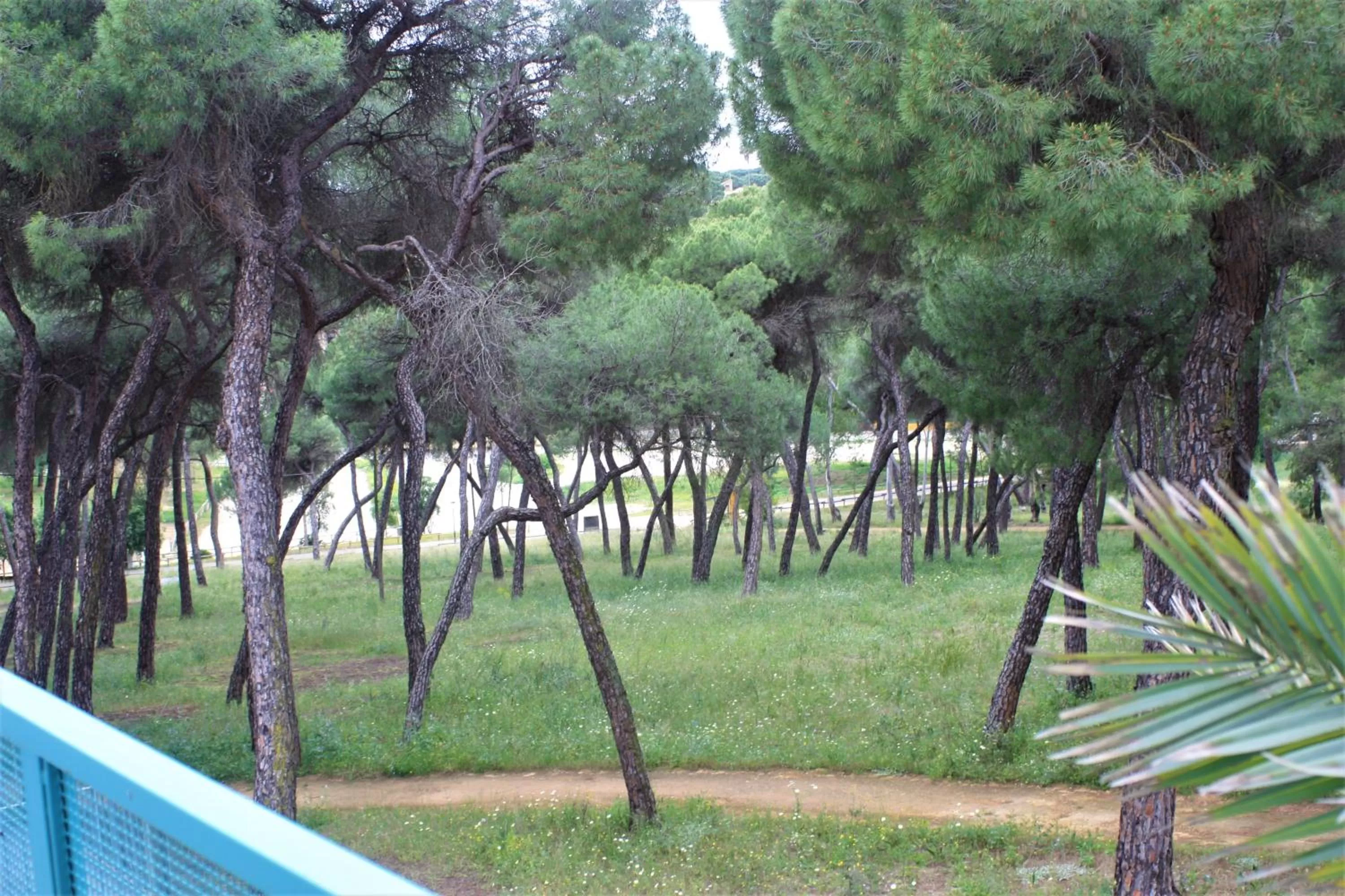 Nearby landmark in Hotel Oromana