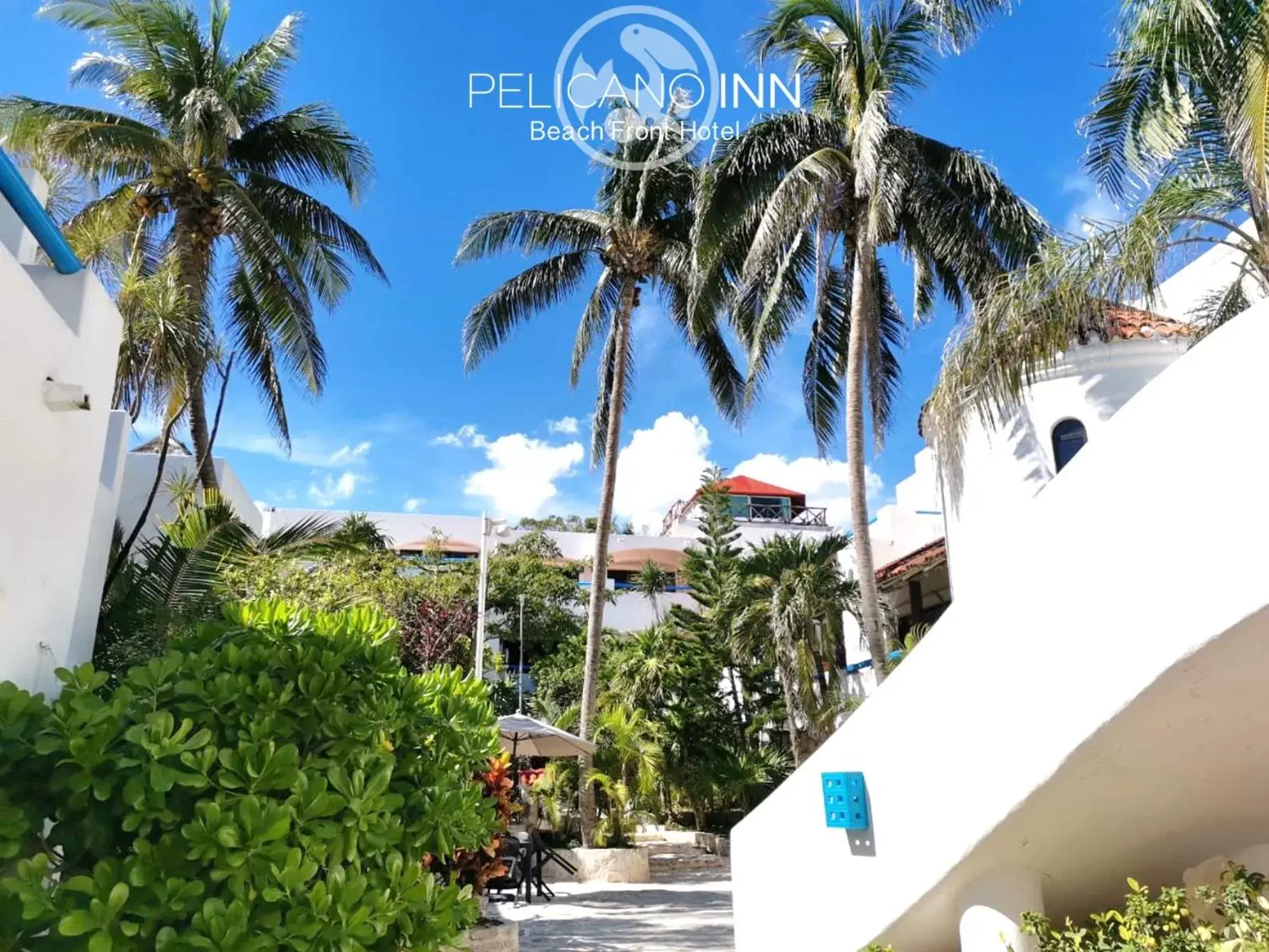 Garden in Pelicano Inn Playa del Carmen - Beachfront Hotel
