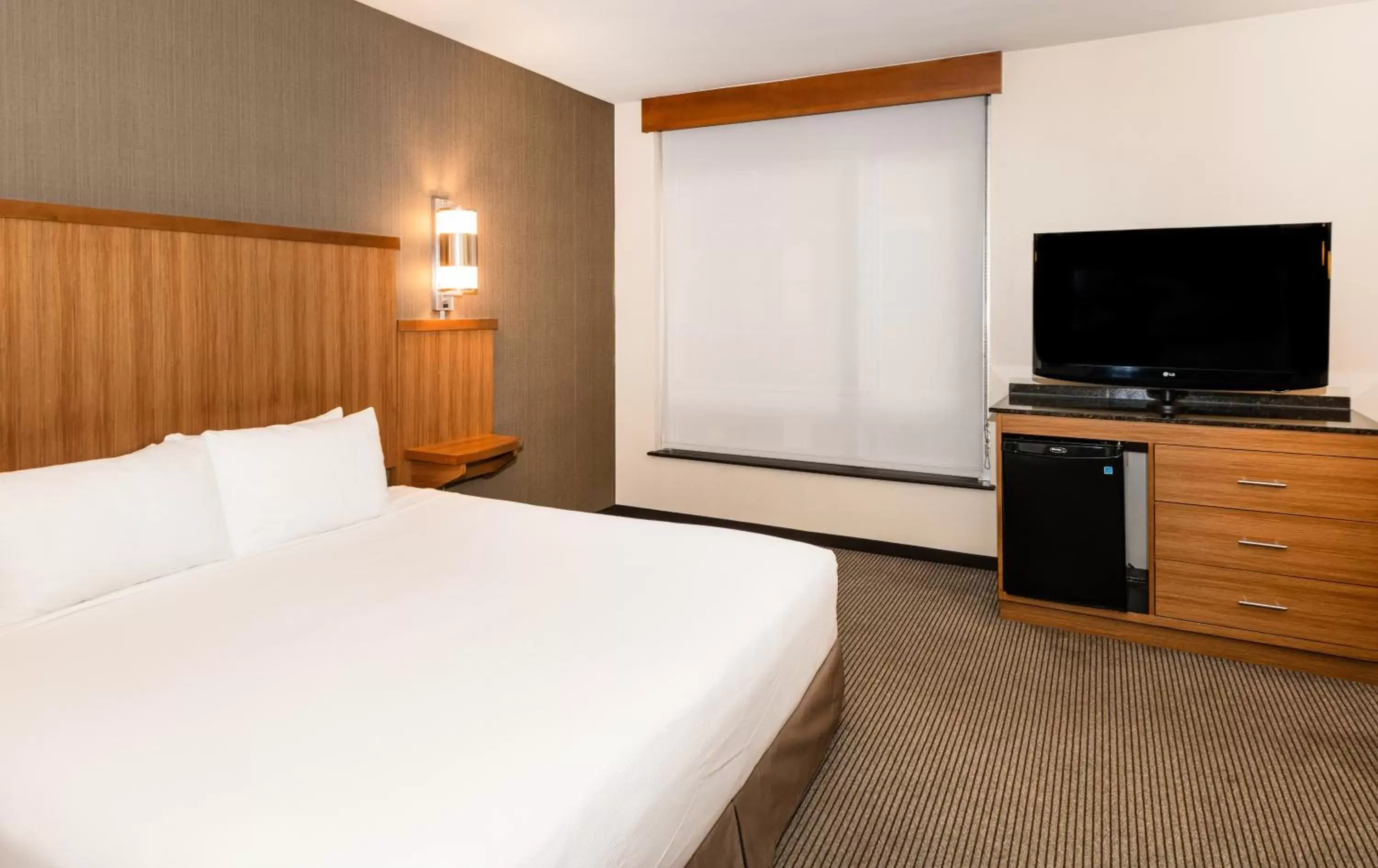 King Room with Sofa Bed and Roll-In Shower - Disability Access in Hyatt Place New York/Midtown-South