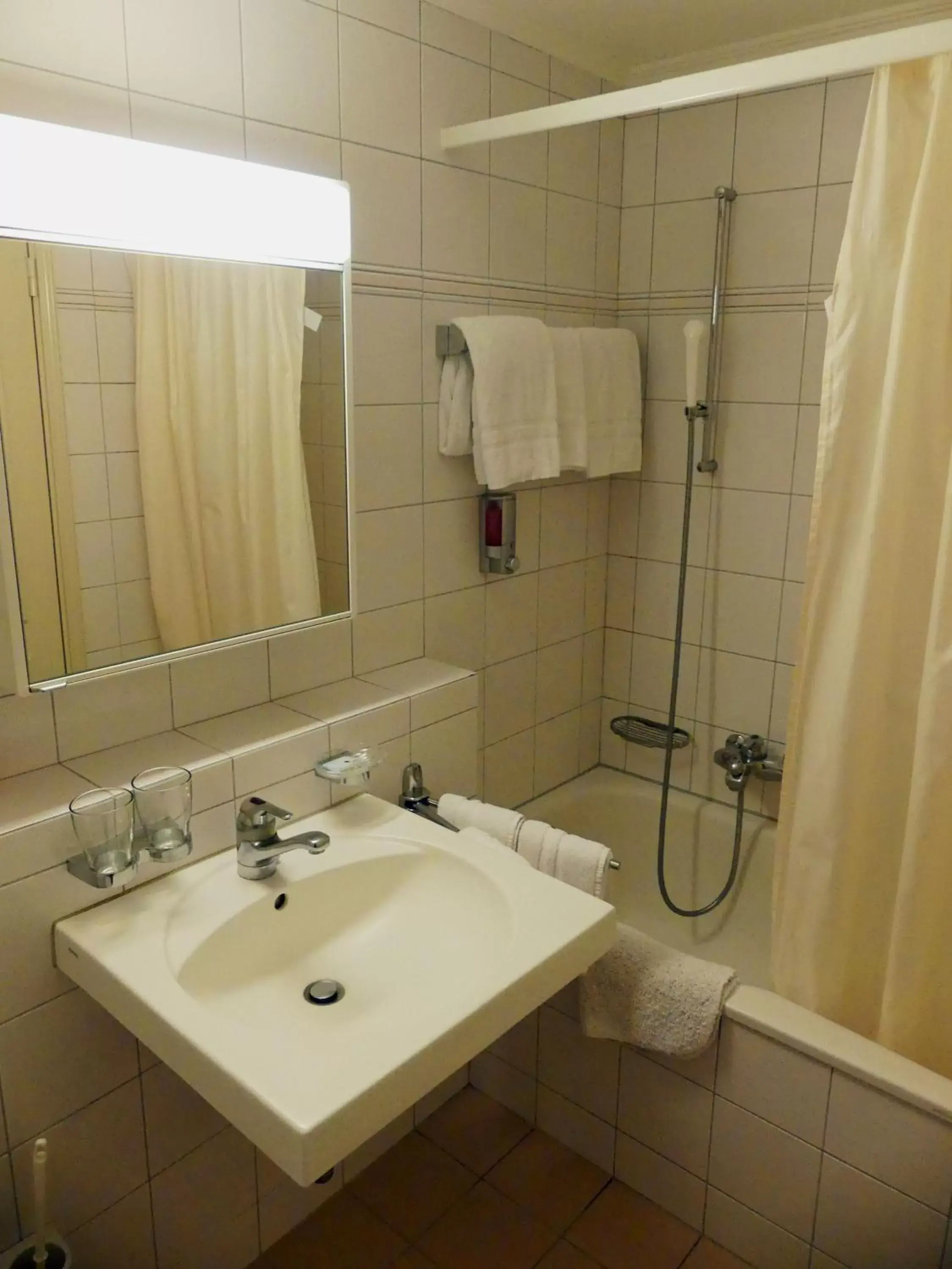 Decorative detail, Bathroom in Hotel Rigi Vitznau