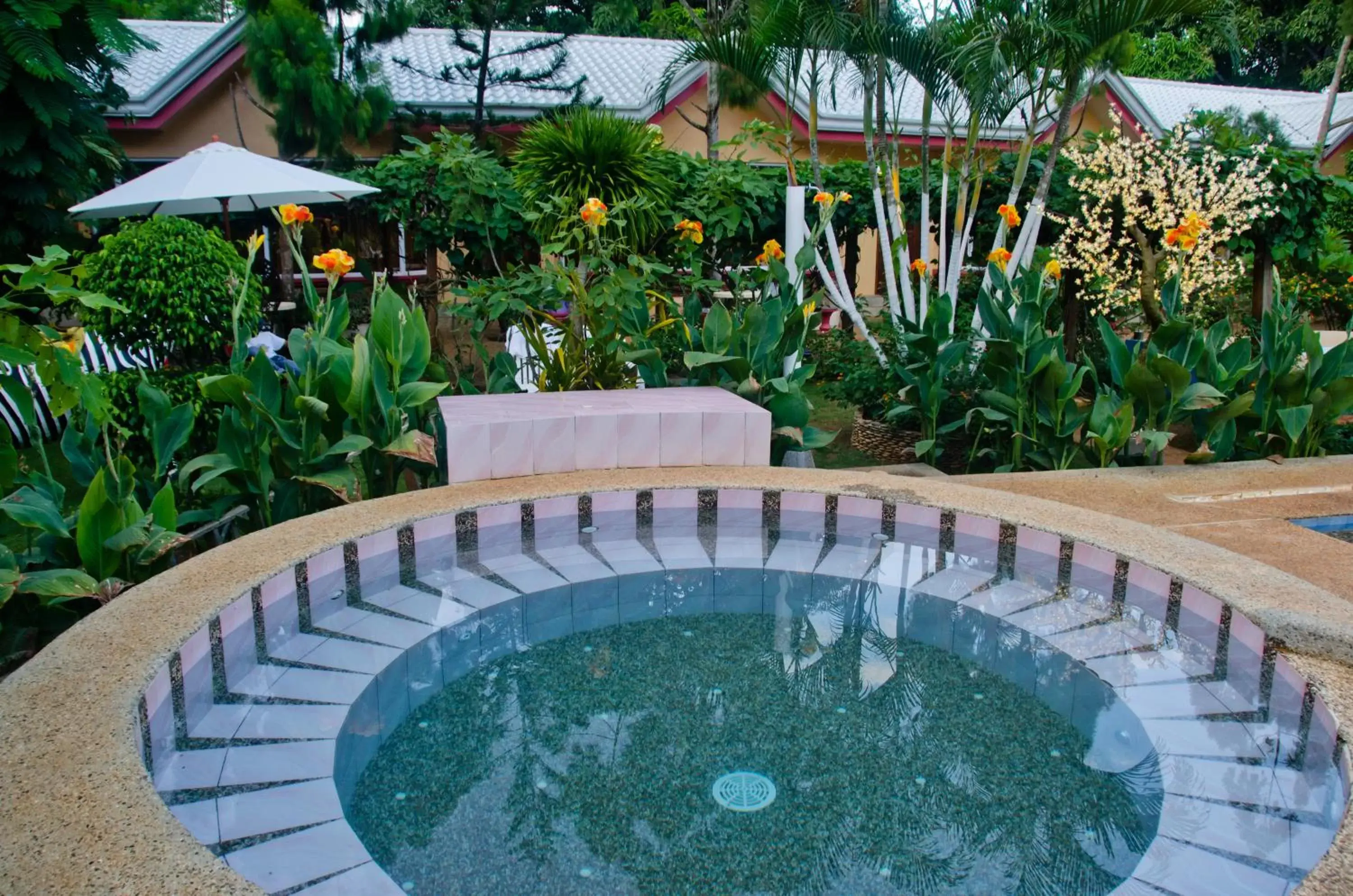 Swimming Pool in Deep Forest Garden Hotel