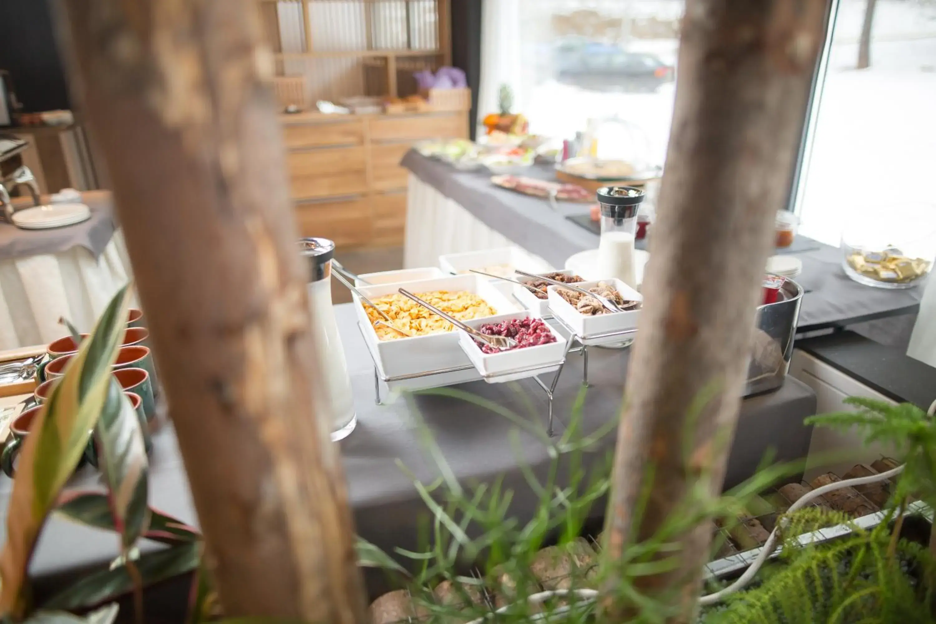 Buffet breakfast in Pino Nature Hotel, BW Premier Collection Buffet breakfast in Pino Nature Hotel, BW Premier Collection