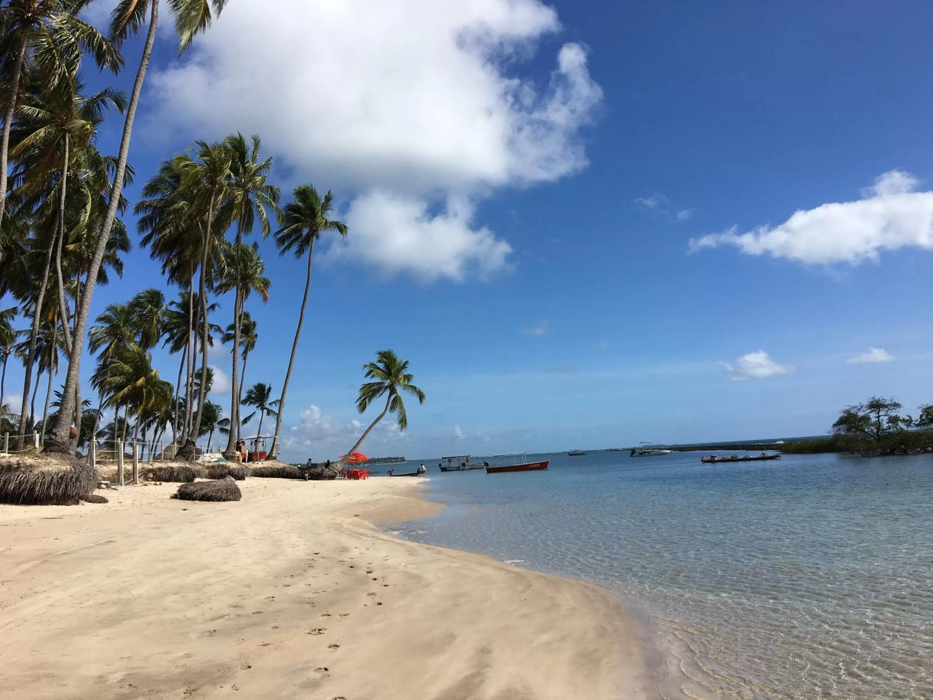 Natural landscape, Beach in Praia dos Carneiros apart beira-mar
