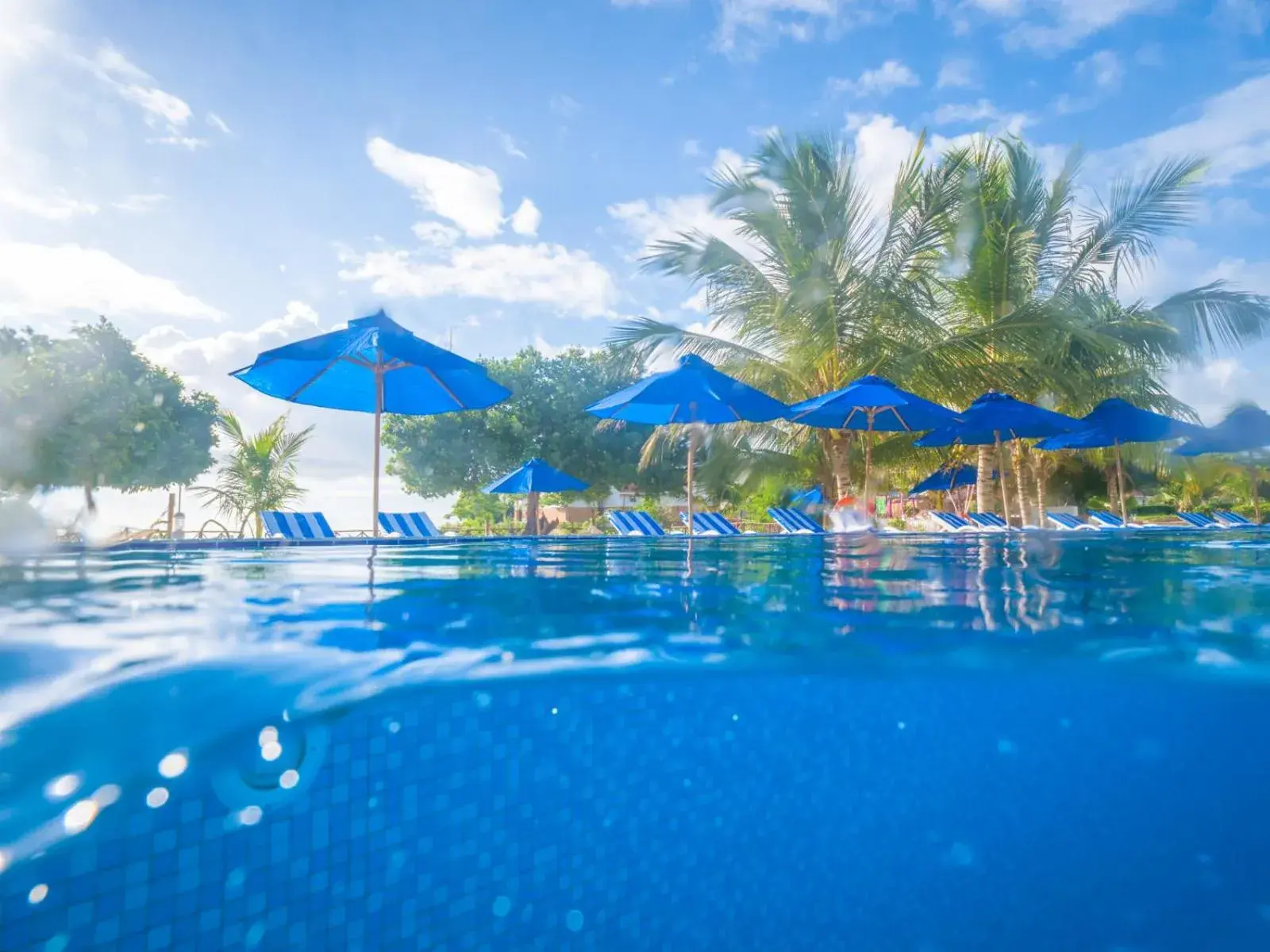 Swimming Pool in Azao Resort & Spa