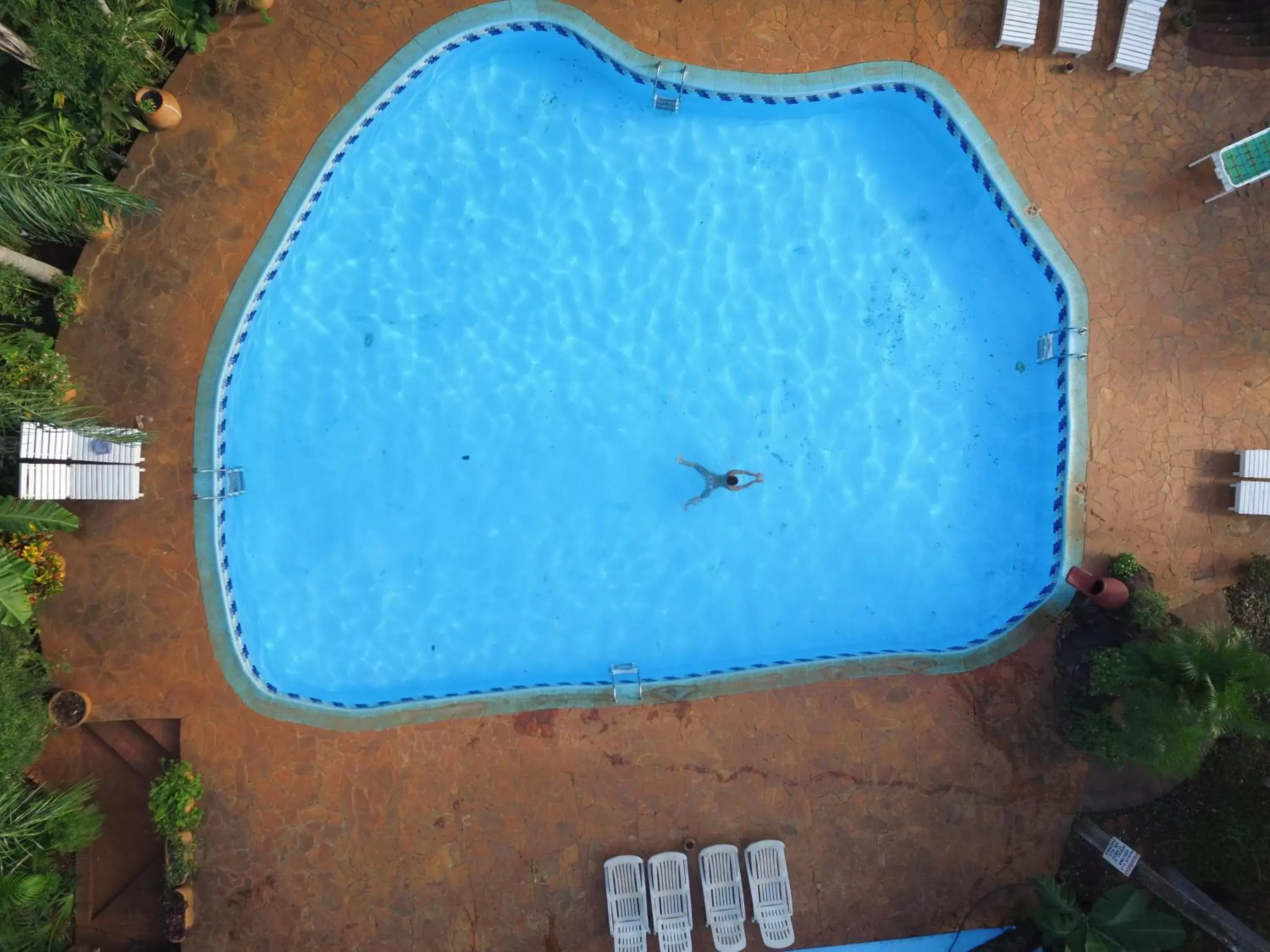 Bird's eye view, Pool View in La Cautiva Iguazú Hotel