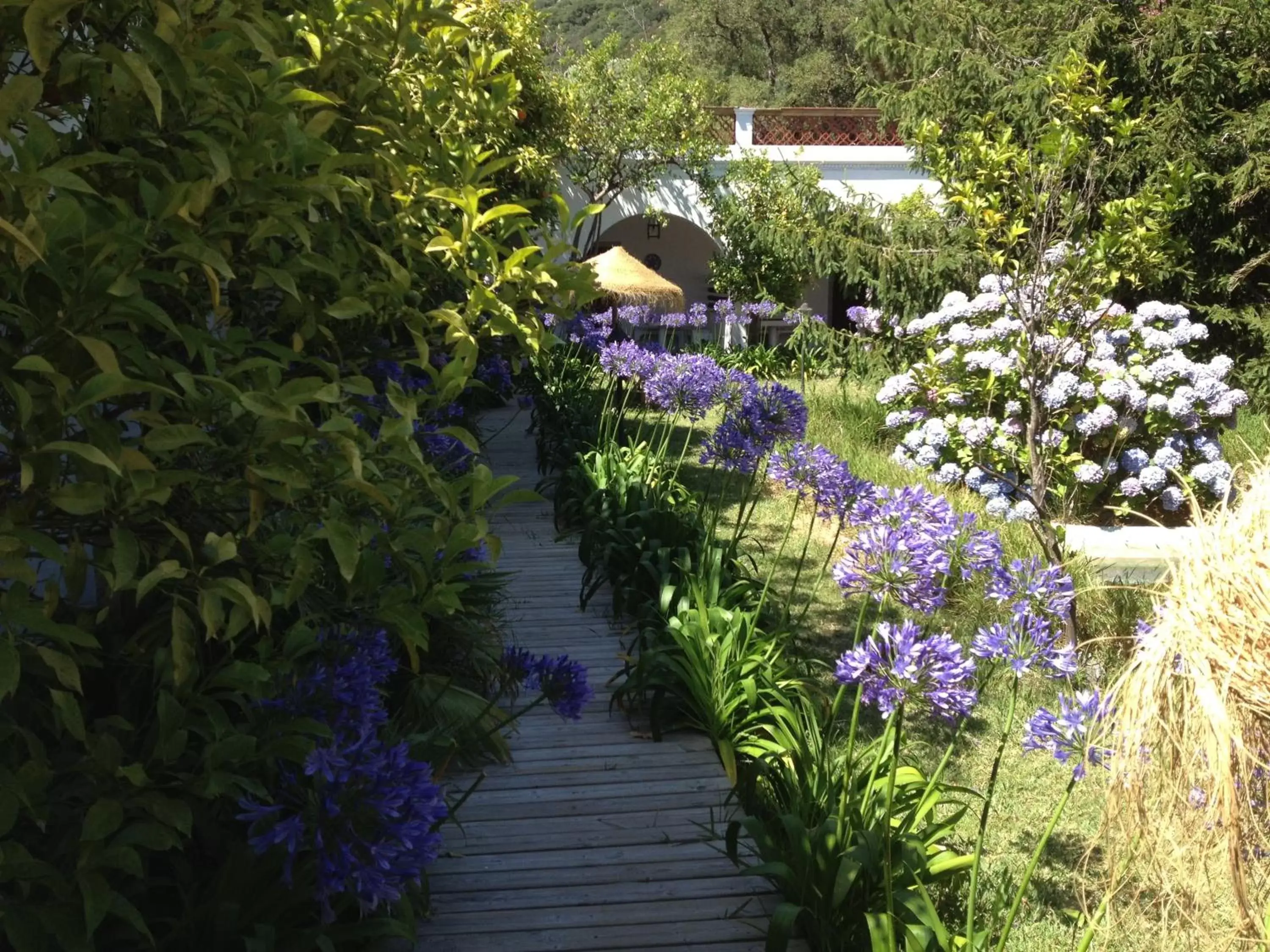 Garden in Mesón de Sancho