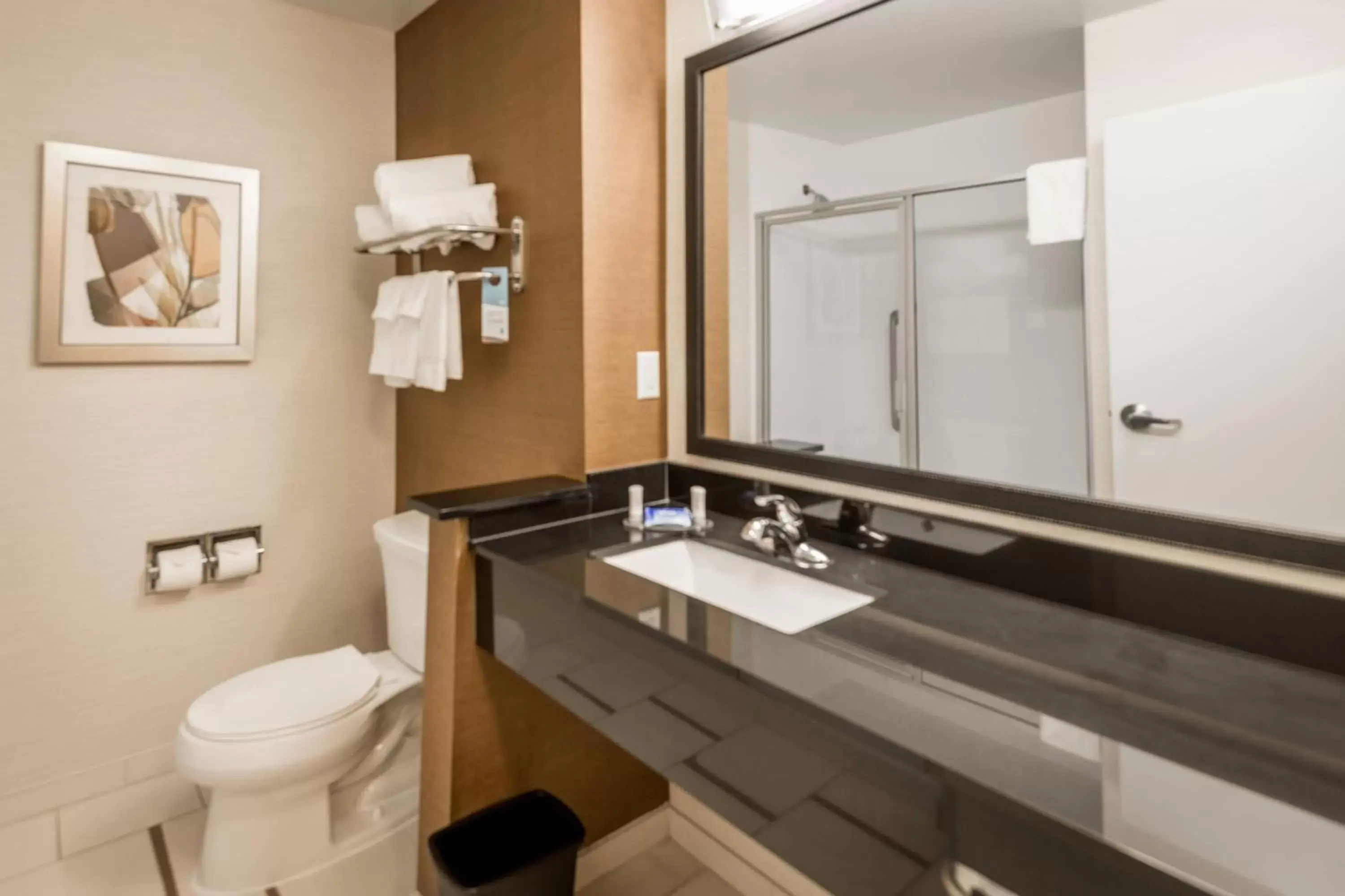 Bathroom in Fairfield Inn & Suites by Marriott Montgomery Airport