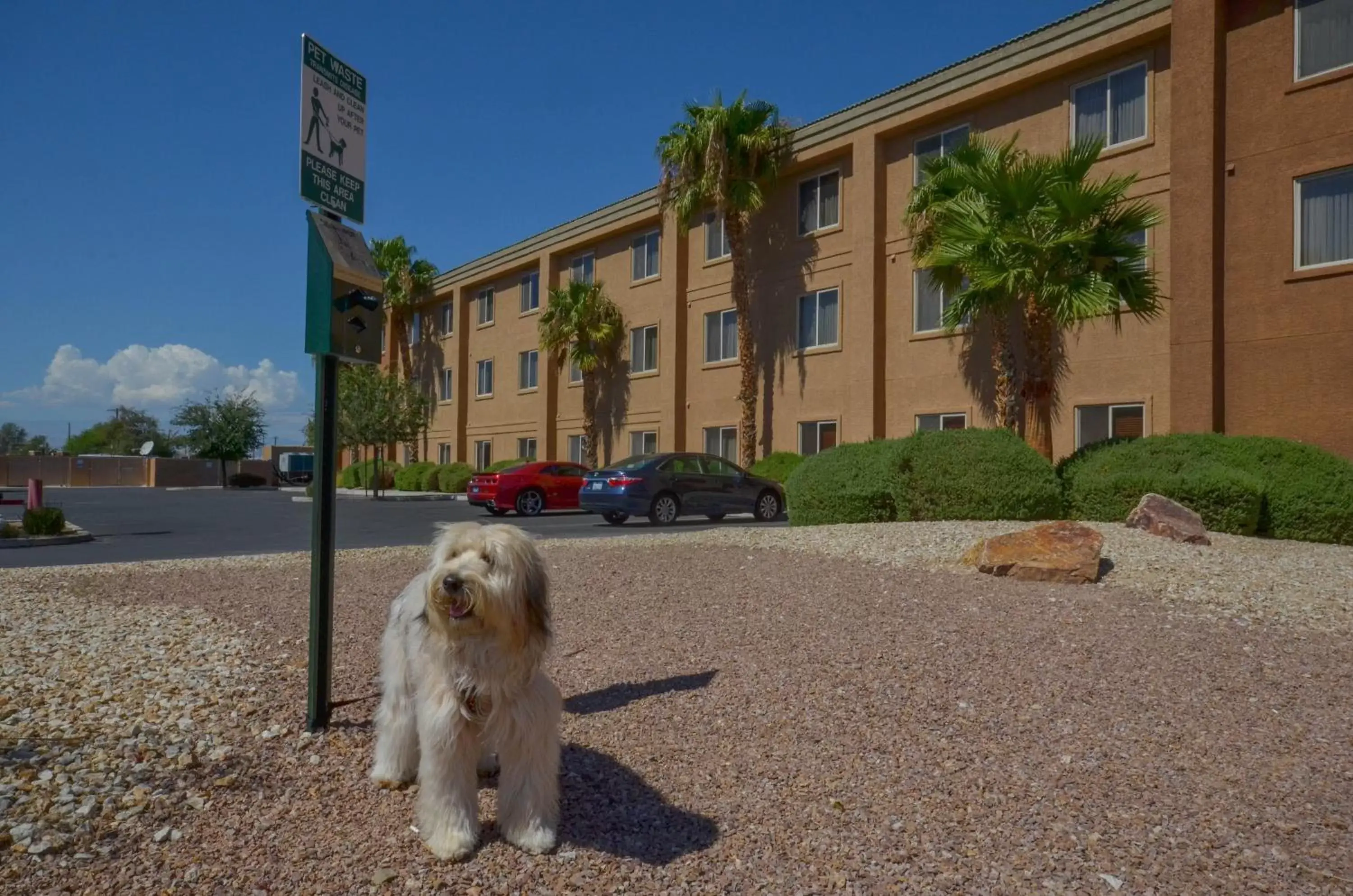 Property building, Pets in Holiday Inn Express Las Vegas-Nellis, an IHG Hotel