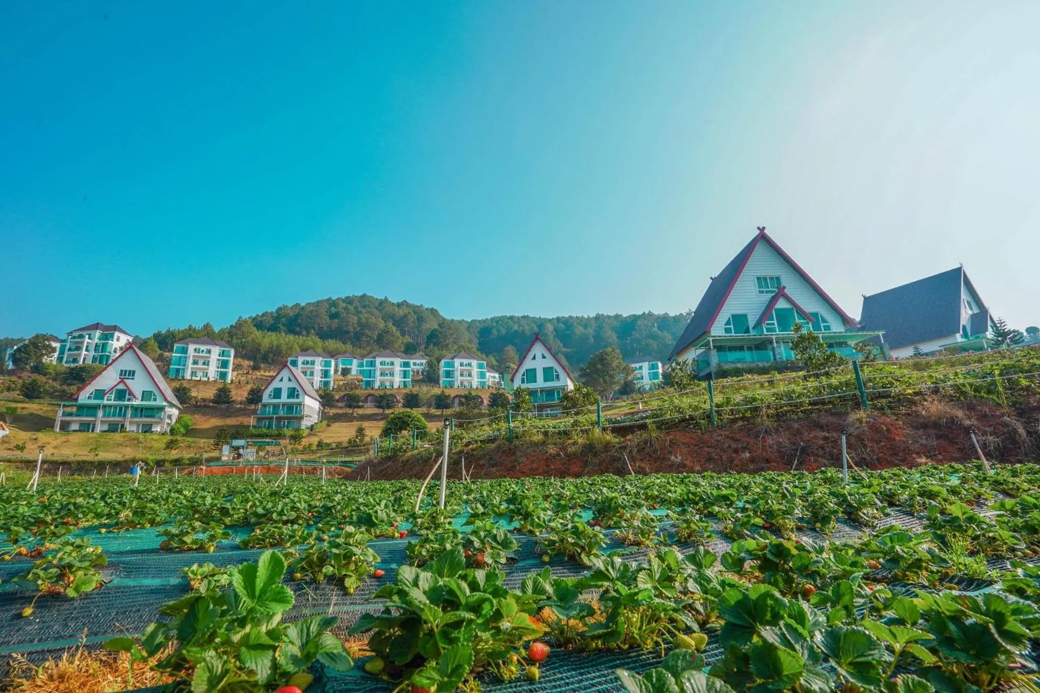 Activities in Dalat Wonder Resort