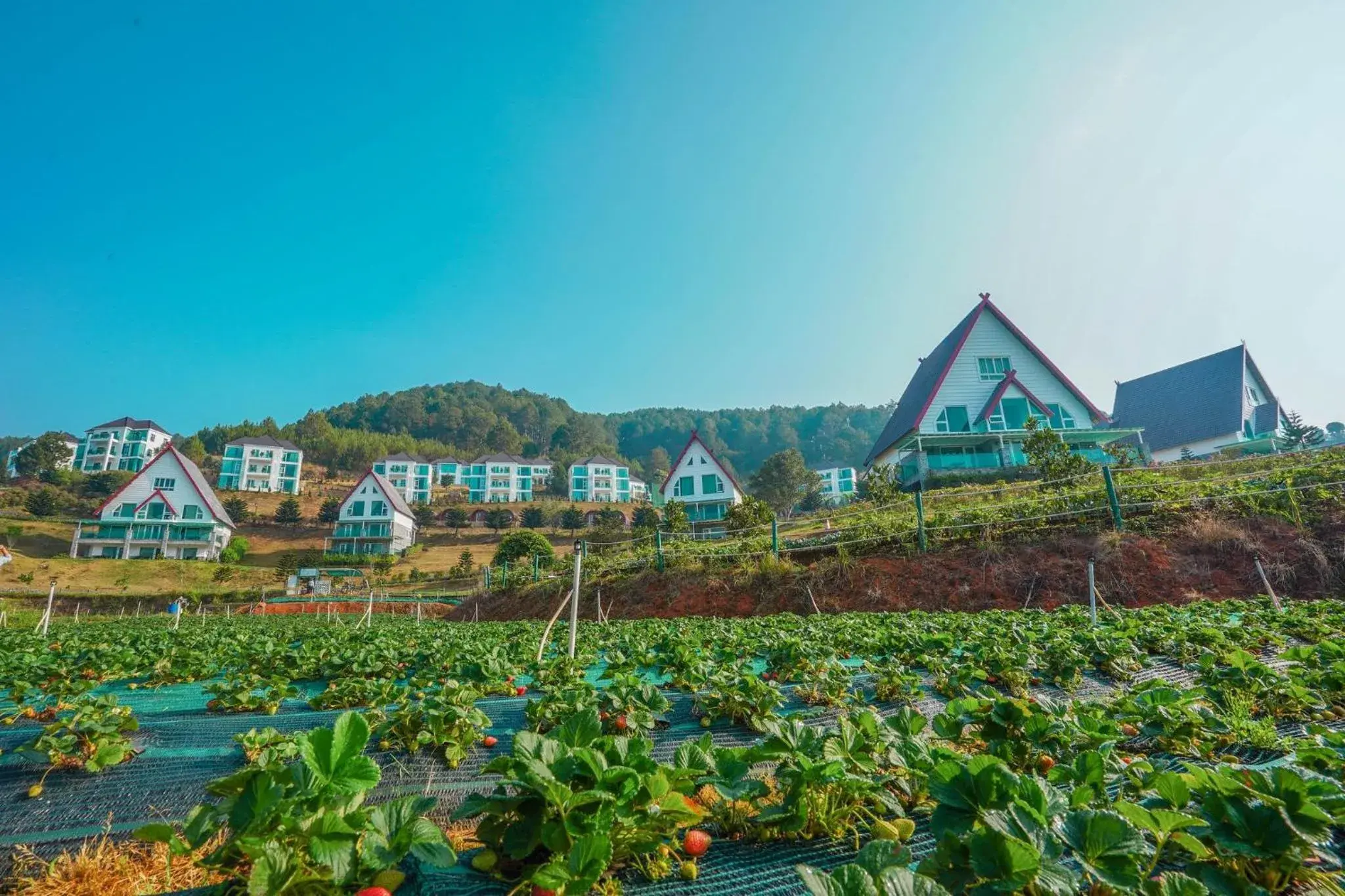 Activities, Property Building in Dalat Wonder  Resort