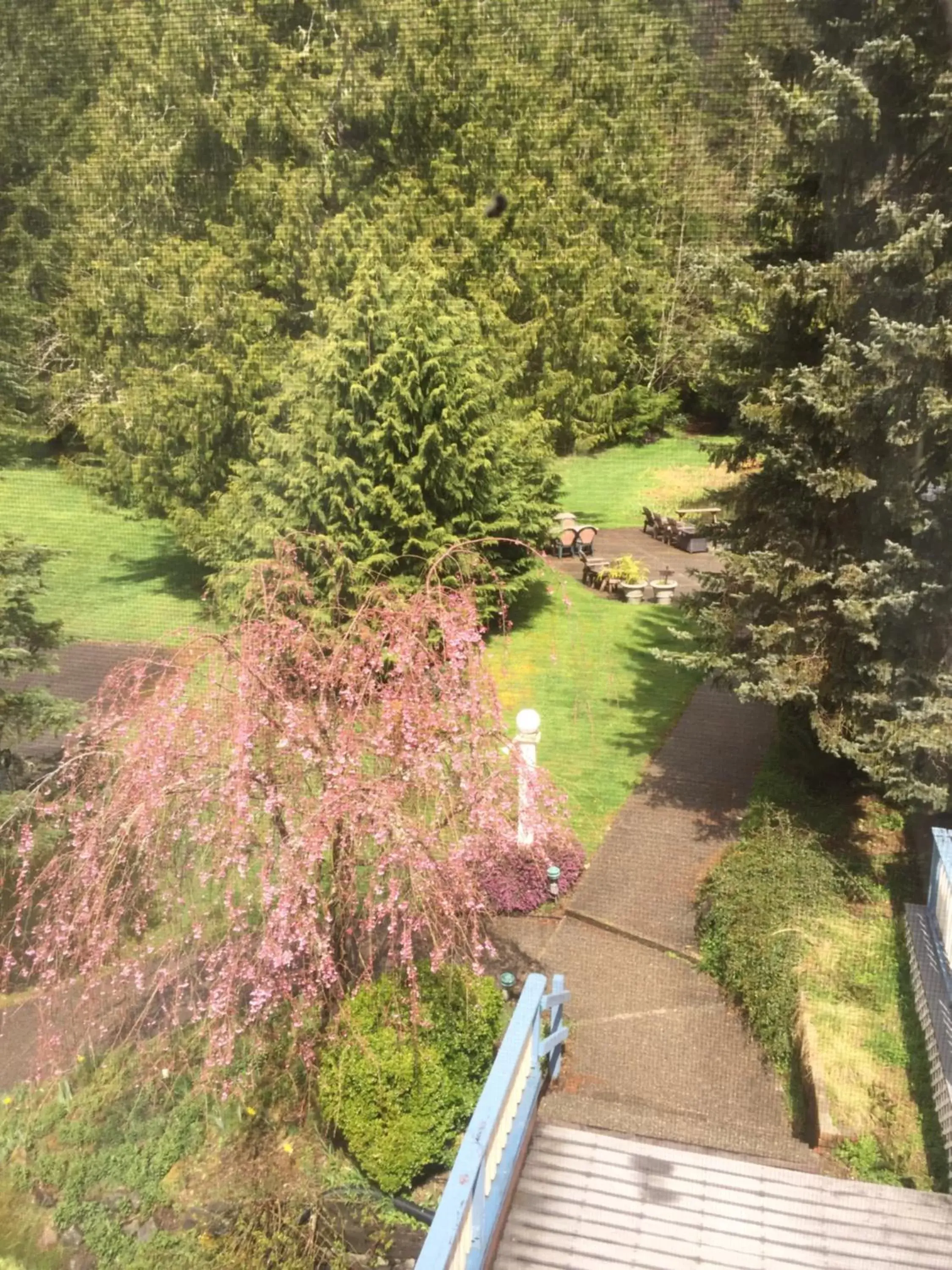 Garden view in Alexander's Lodge