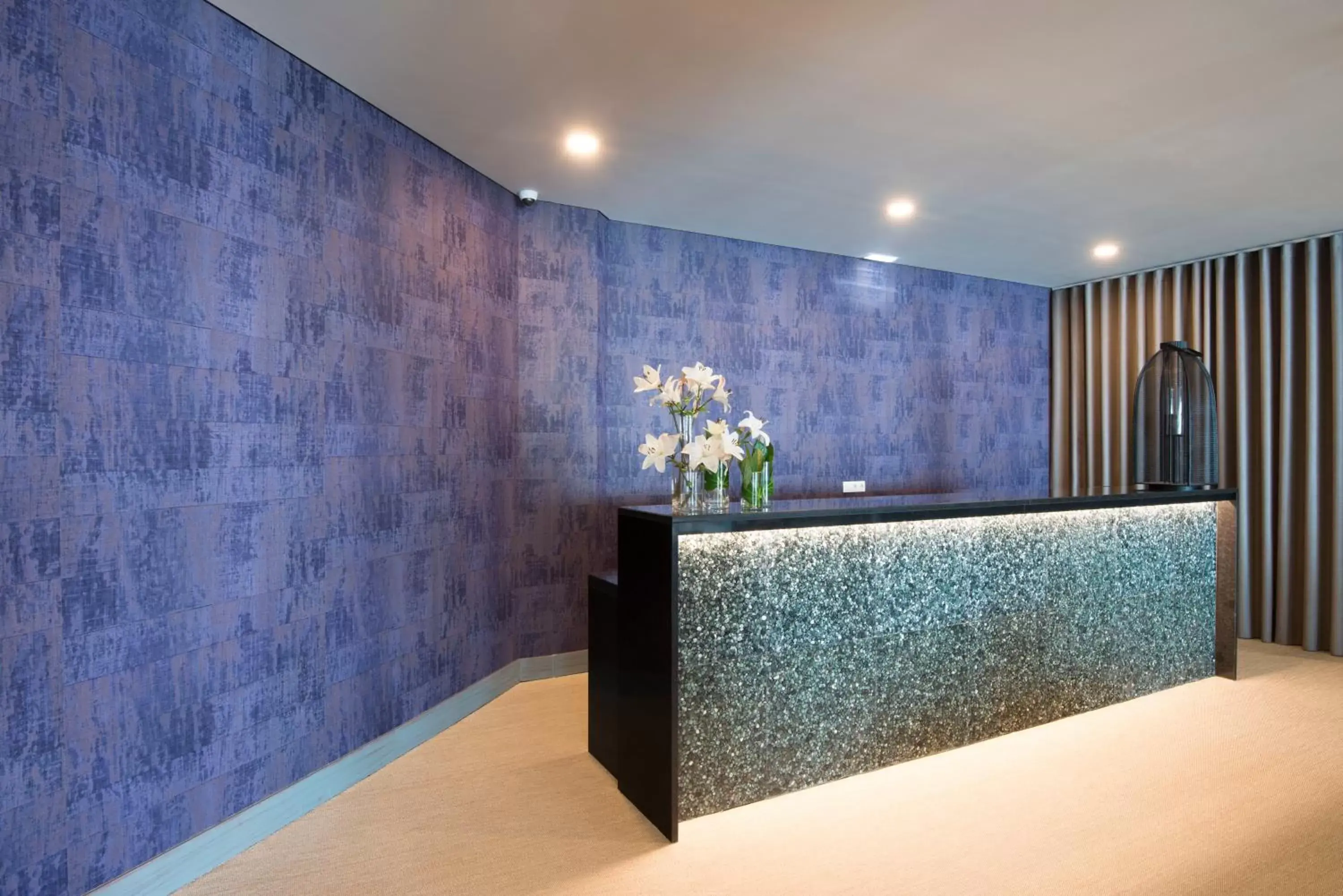 Spa and wellness centre/facilities, Lobby/Reception in Hotel Baia Azul