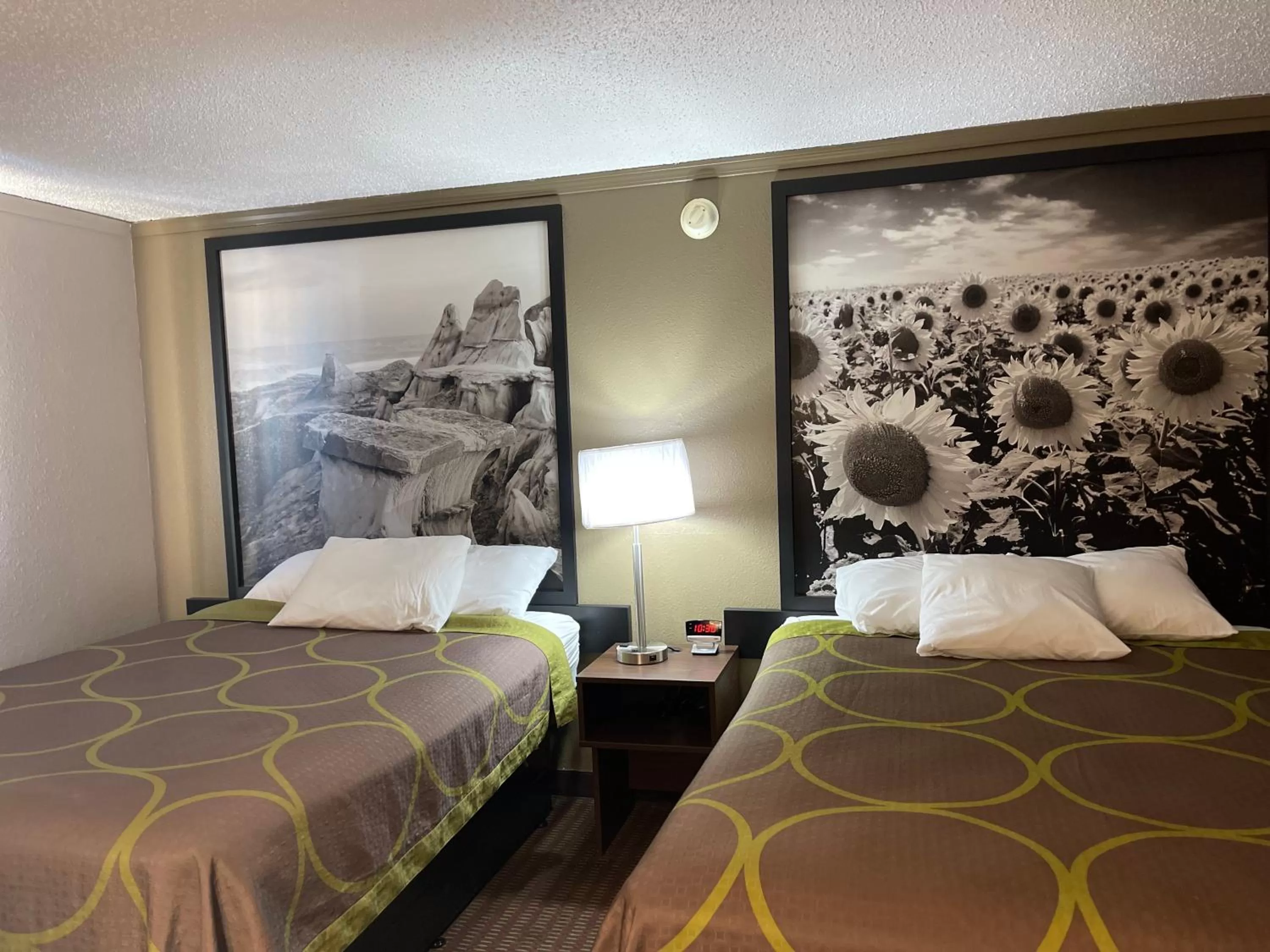 Bed in Super 8 by Wyndham Bismarck