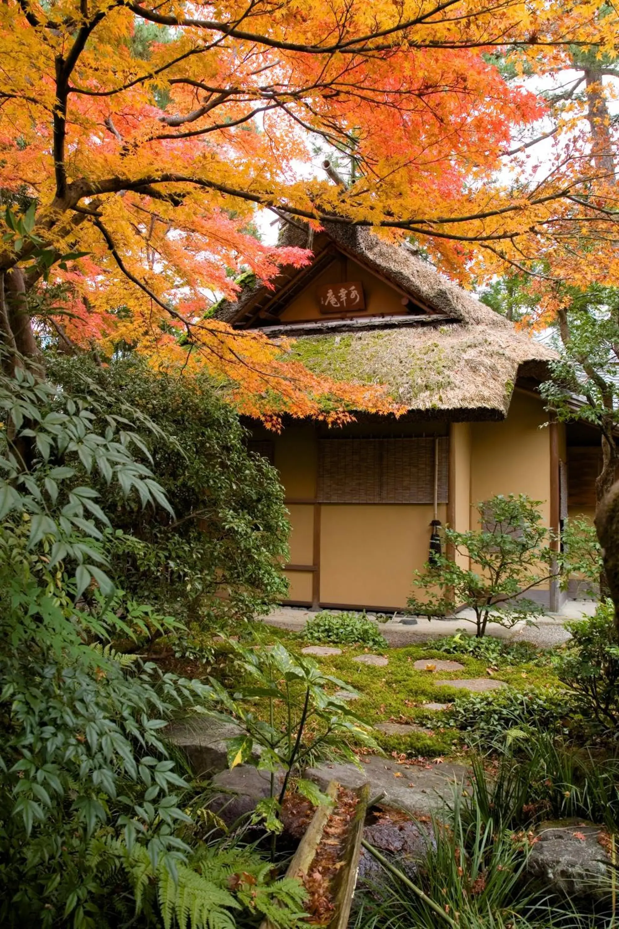 Garden, Property Building in Gero Onsen Suimeikan