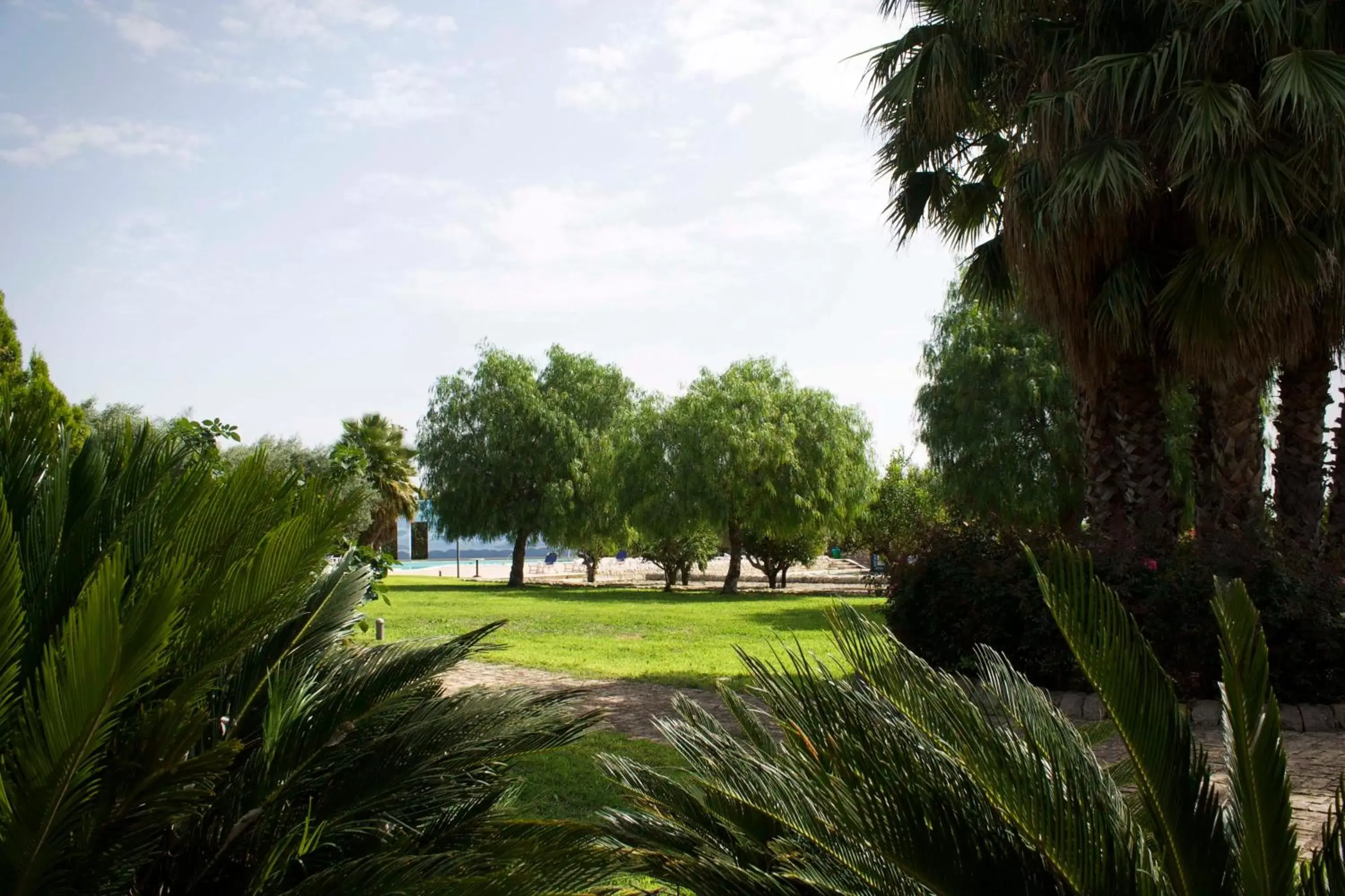 Garden in Villa Teresa