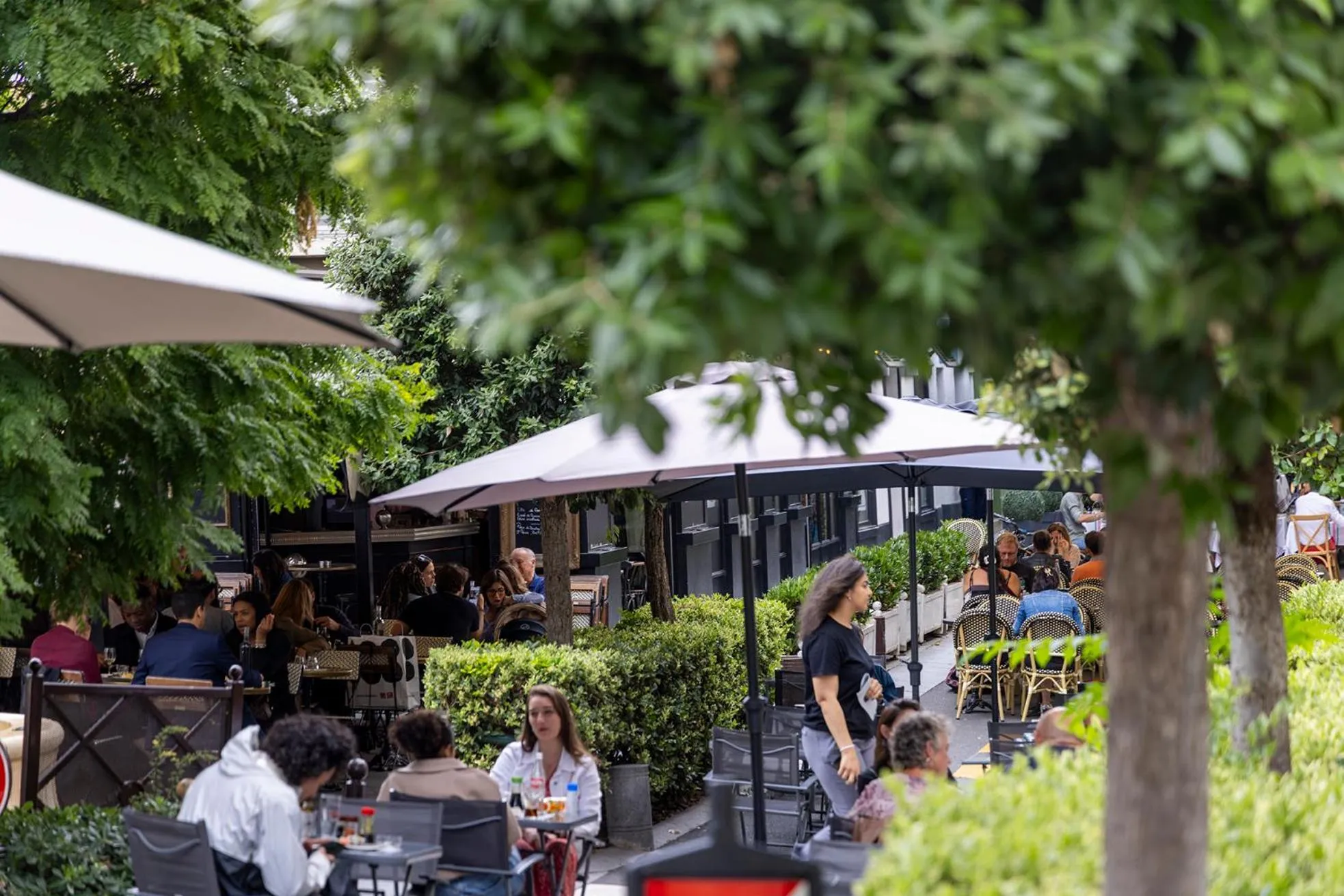 Restaurant/places to eat in Hotel Charlemagne