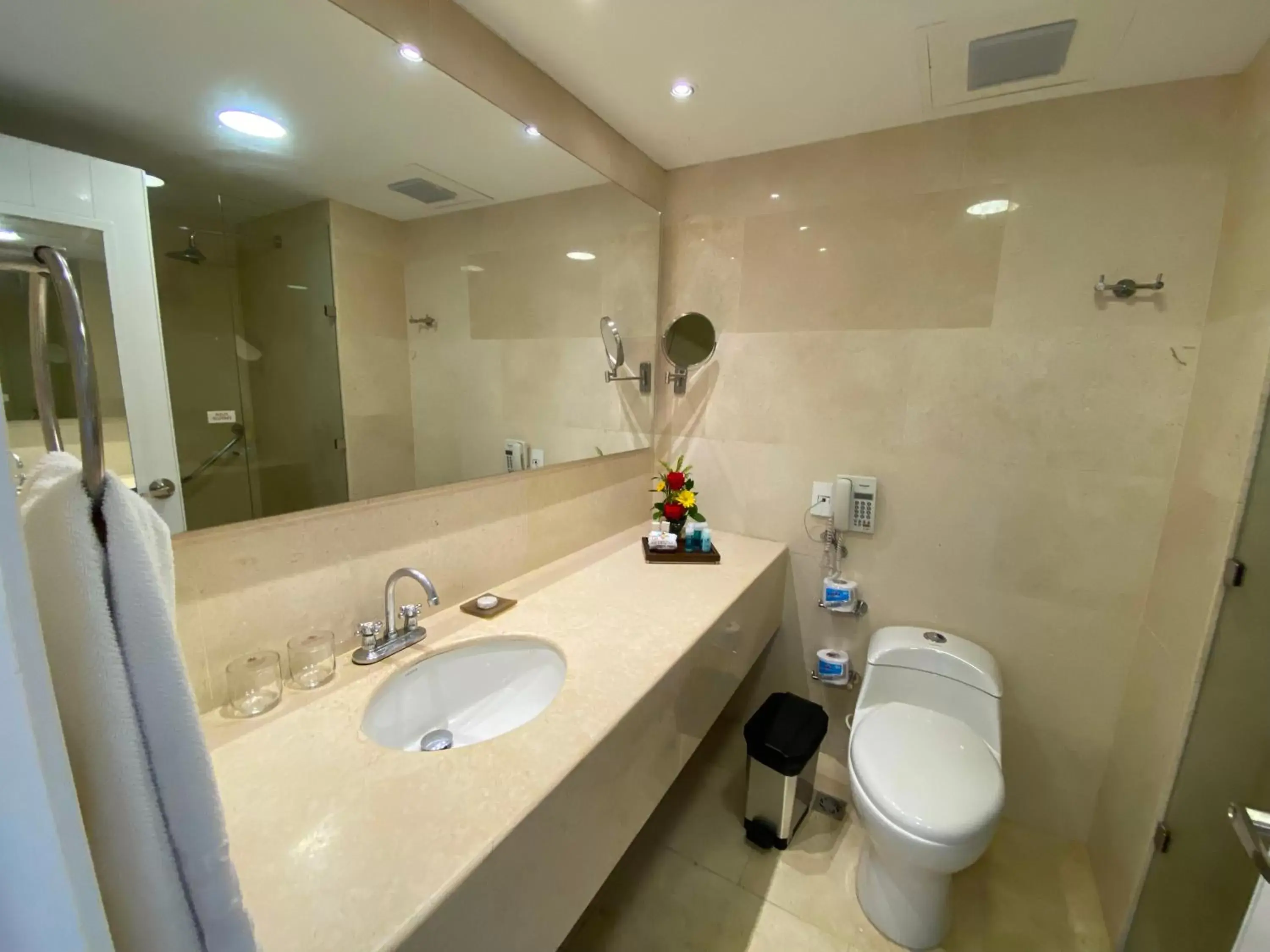 Shower, Bathroom in Hotel Las Americas Casa de Playa