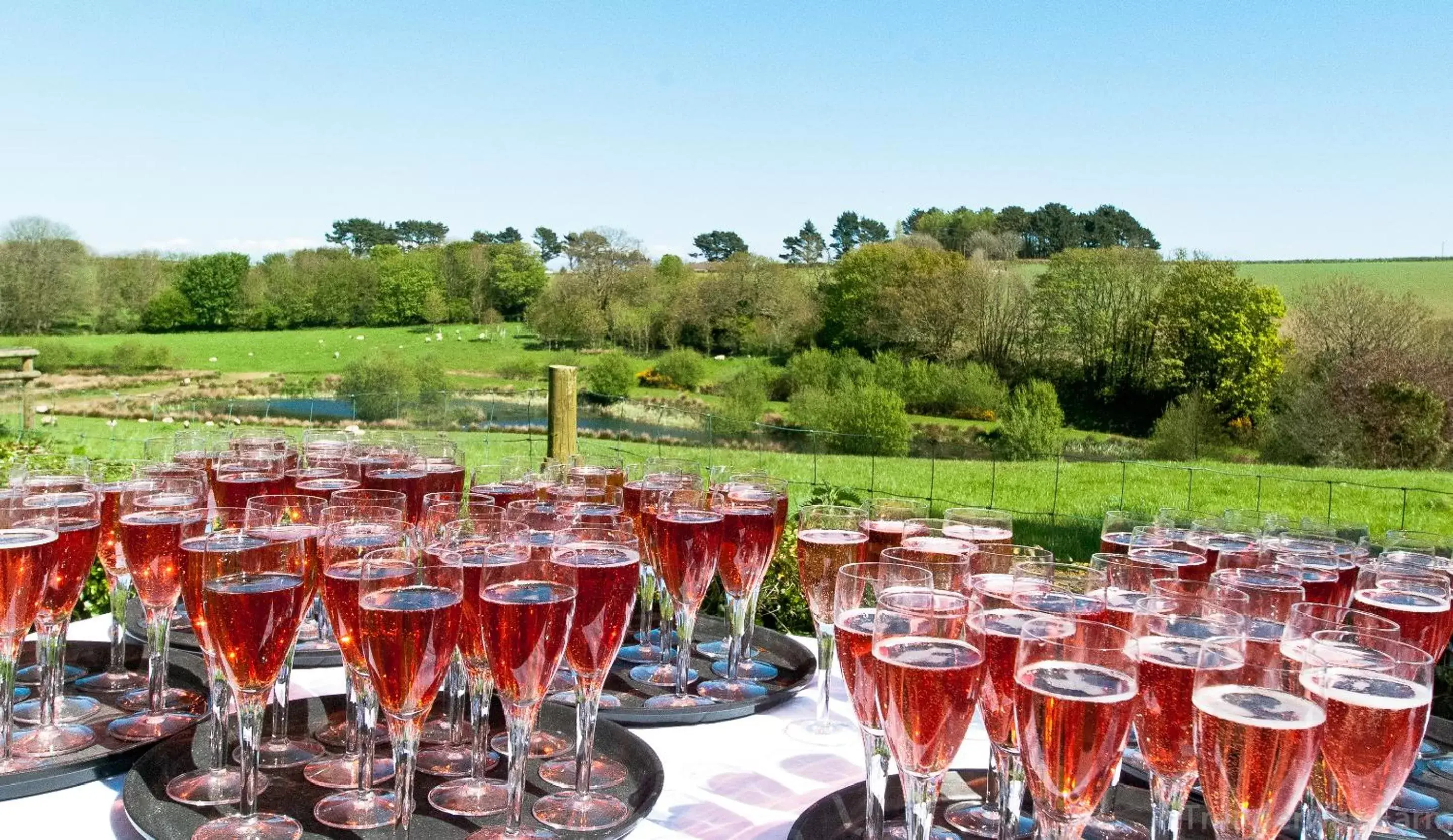 Summer, Banquet Facilities in Trenderway Farm