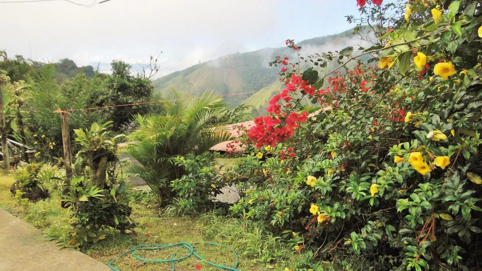 Garden in Hosteria Florecer
