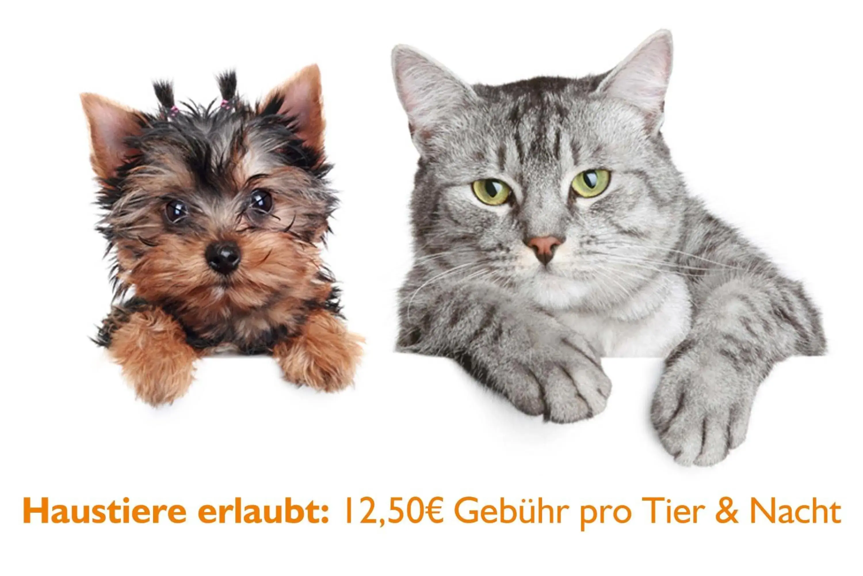 Pets in Panorama Berghotel Wettiner Hohe