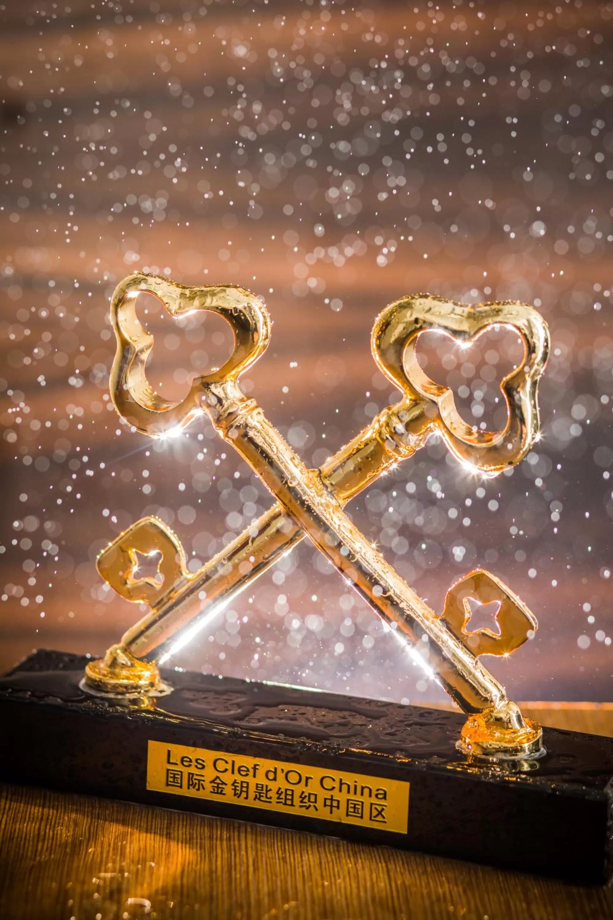 Certificate/Award in Glenview ITC Plaza Chongqing