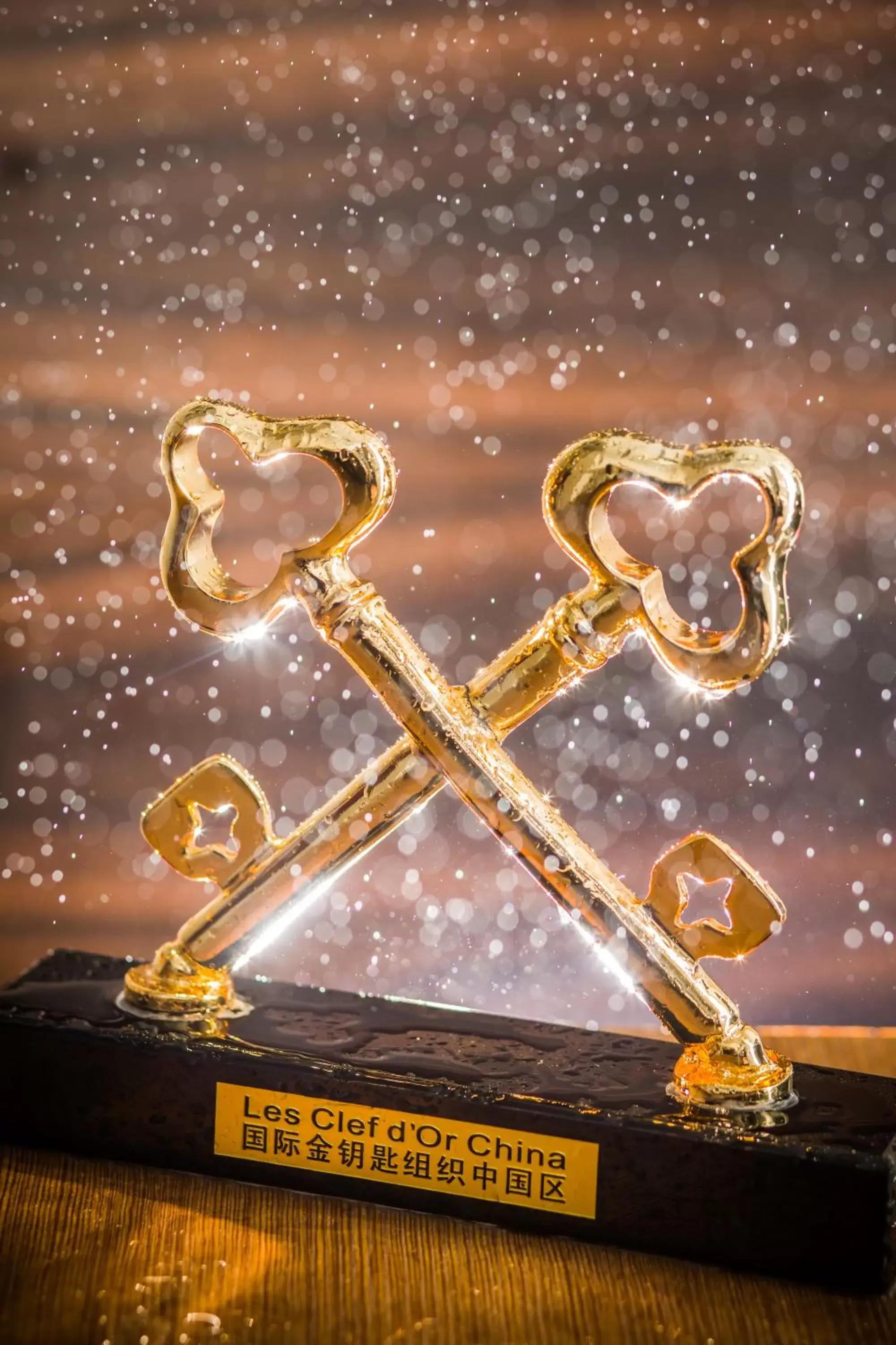 Certificate/Award in Glenview ITC Plaza Chongqing Certificate/Award in Glenview ITC Plaza Chongqing