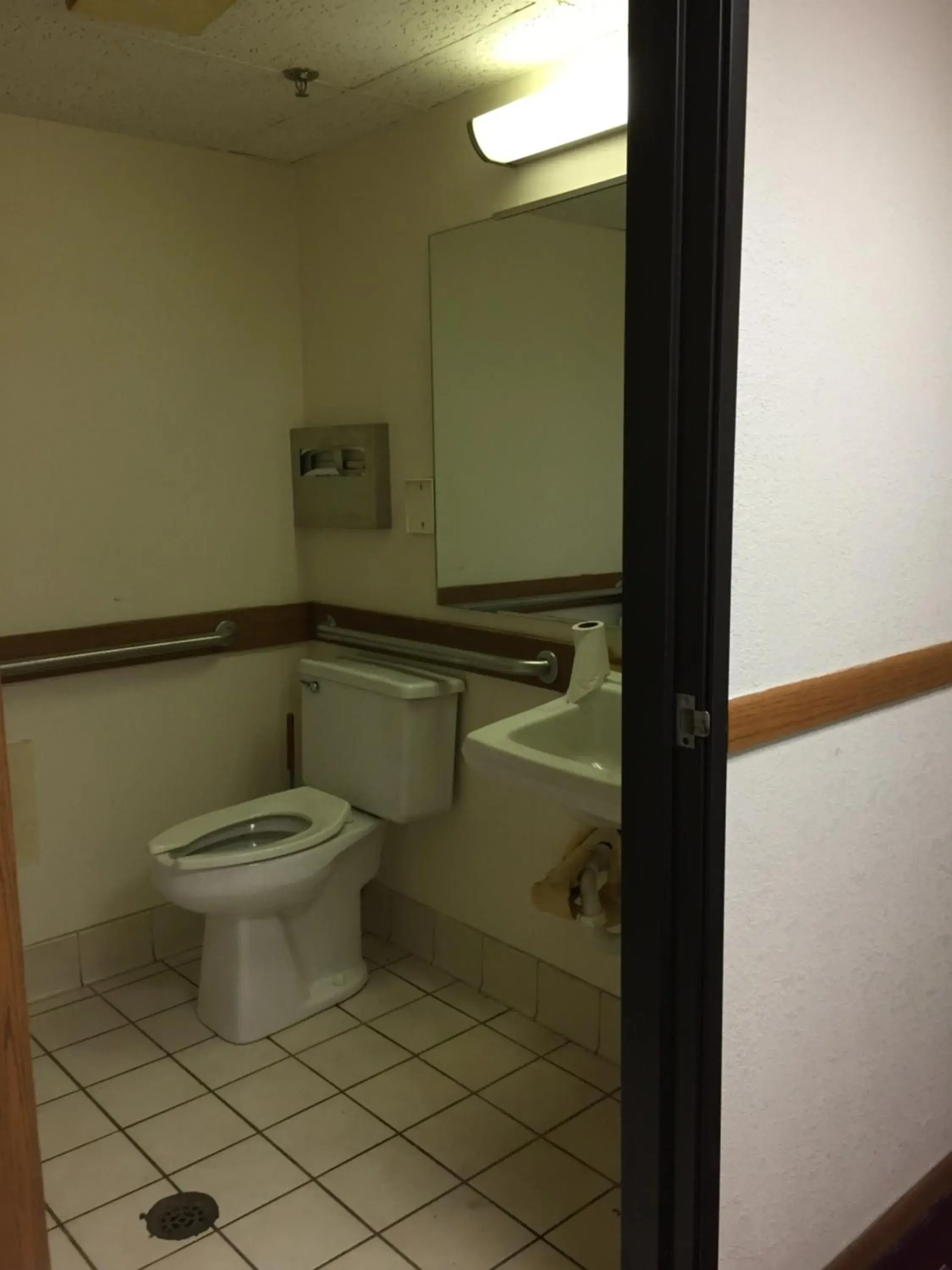 Toilet, Bathroom in Americas Best Value Inn Champaign