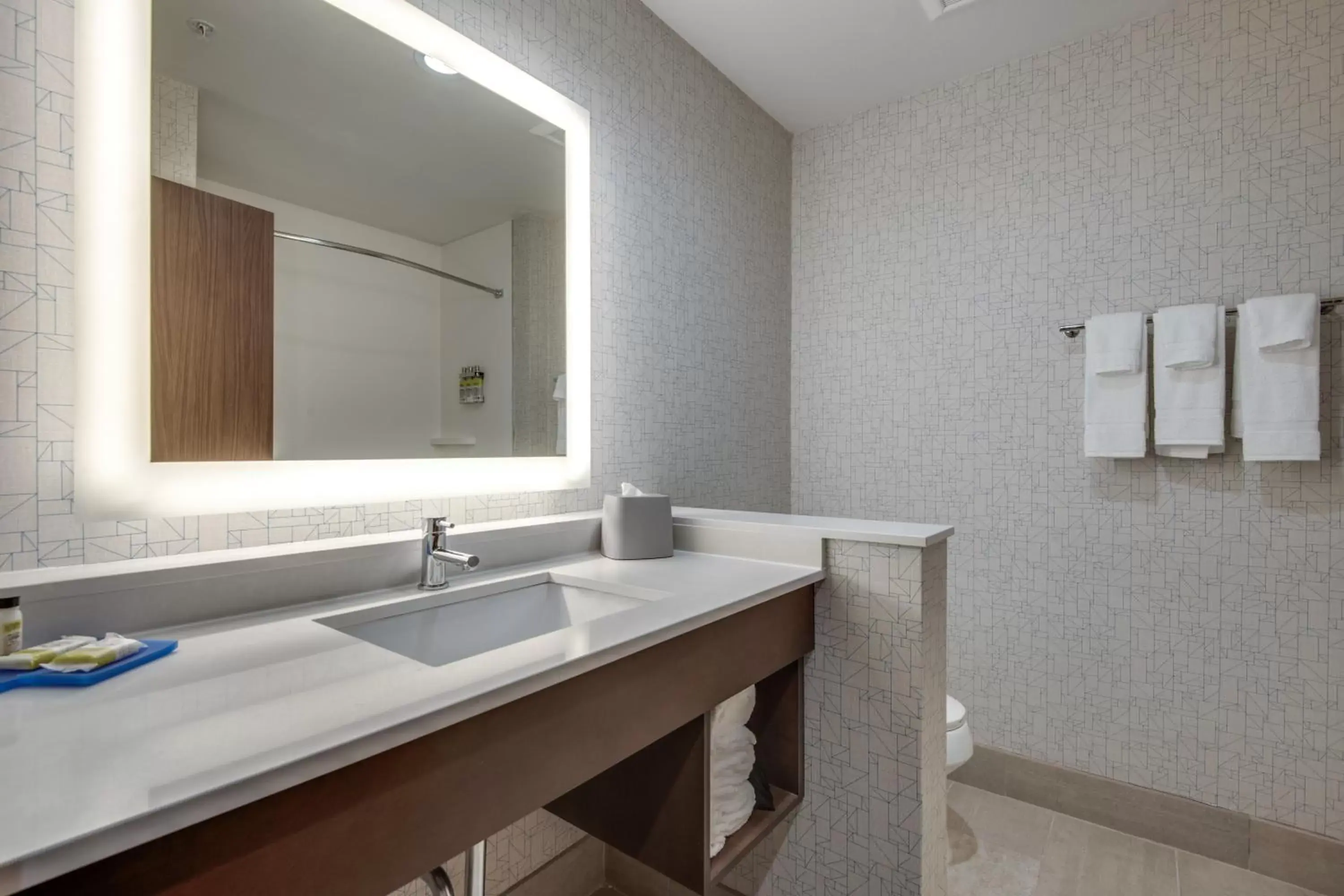 Bathroom in Holiday Inn Express & Suites Dallas North - Addison, an IHG Hotel