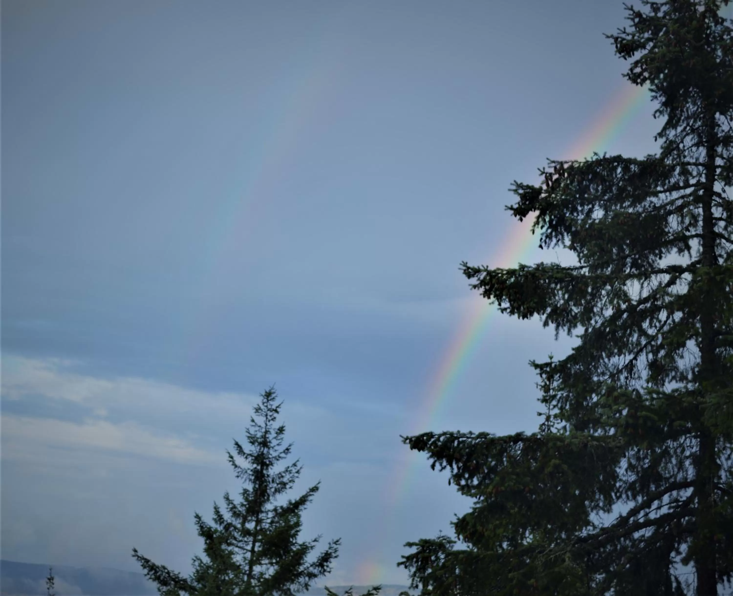 Property building, Winter in Armand Heights