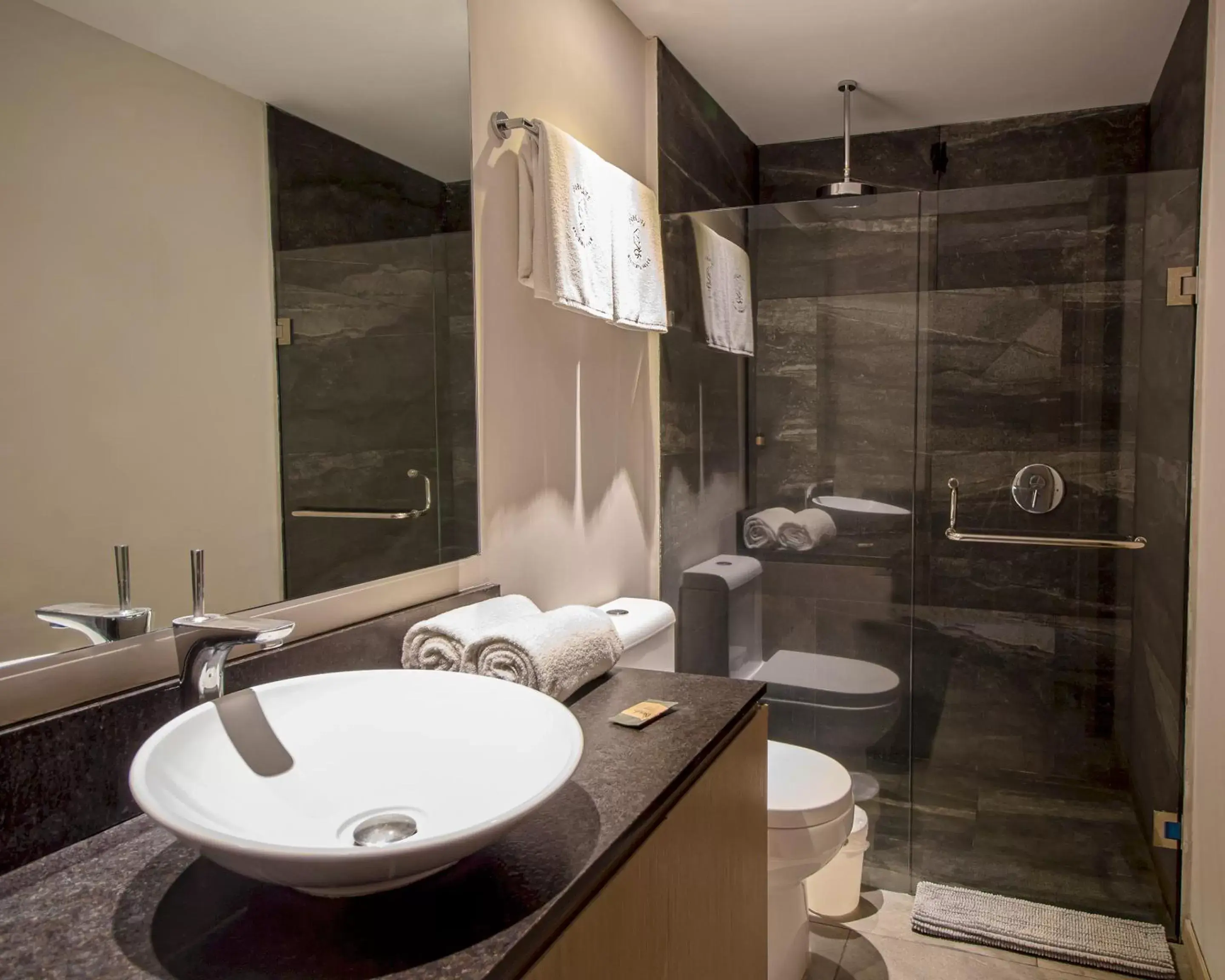 Shower, Bathroom in Paradox Santa Fe