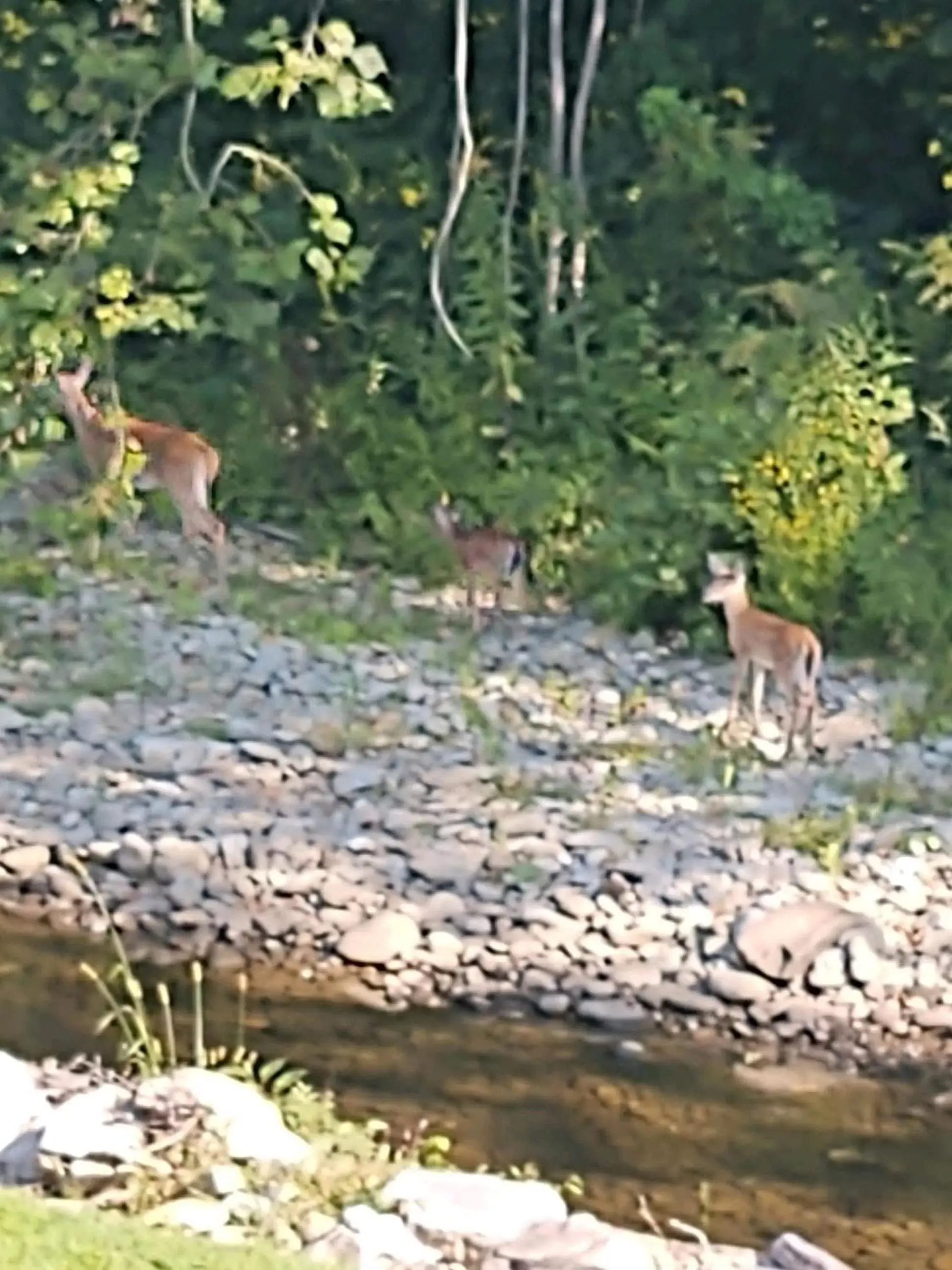 River view in Quality Inn Cherokee River view in Quality Inn Cherokee