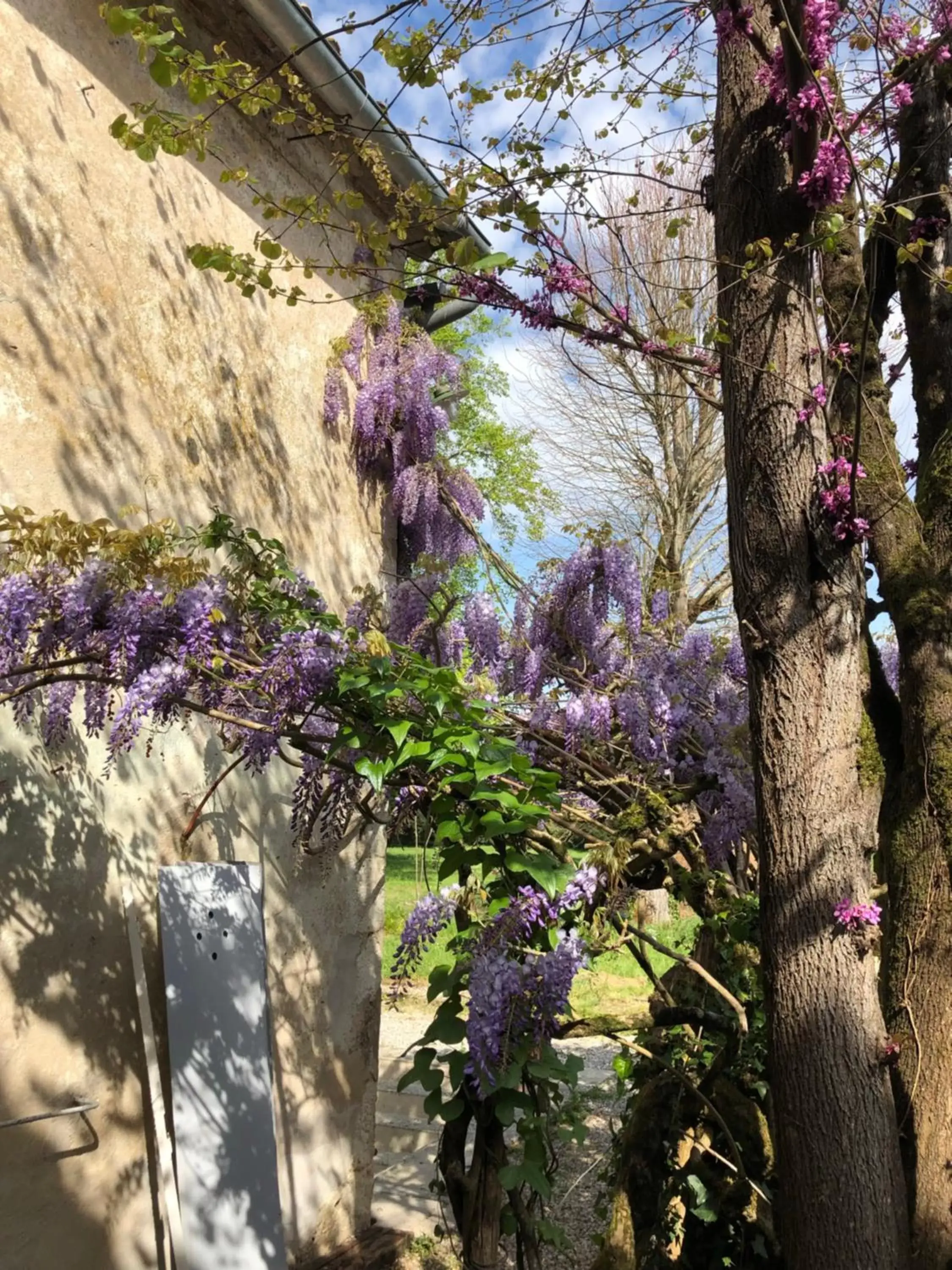 Spring in Château Destinée