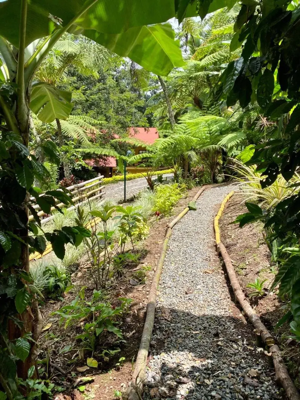 Garden in Argovia Finca Resort