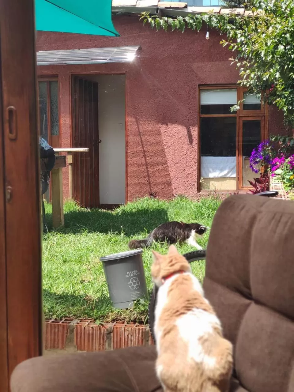 Pets in acogedor Hostal usaquen la parada del tren