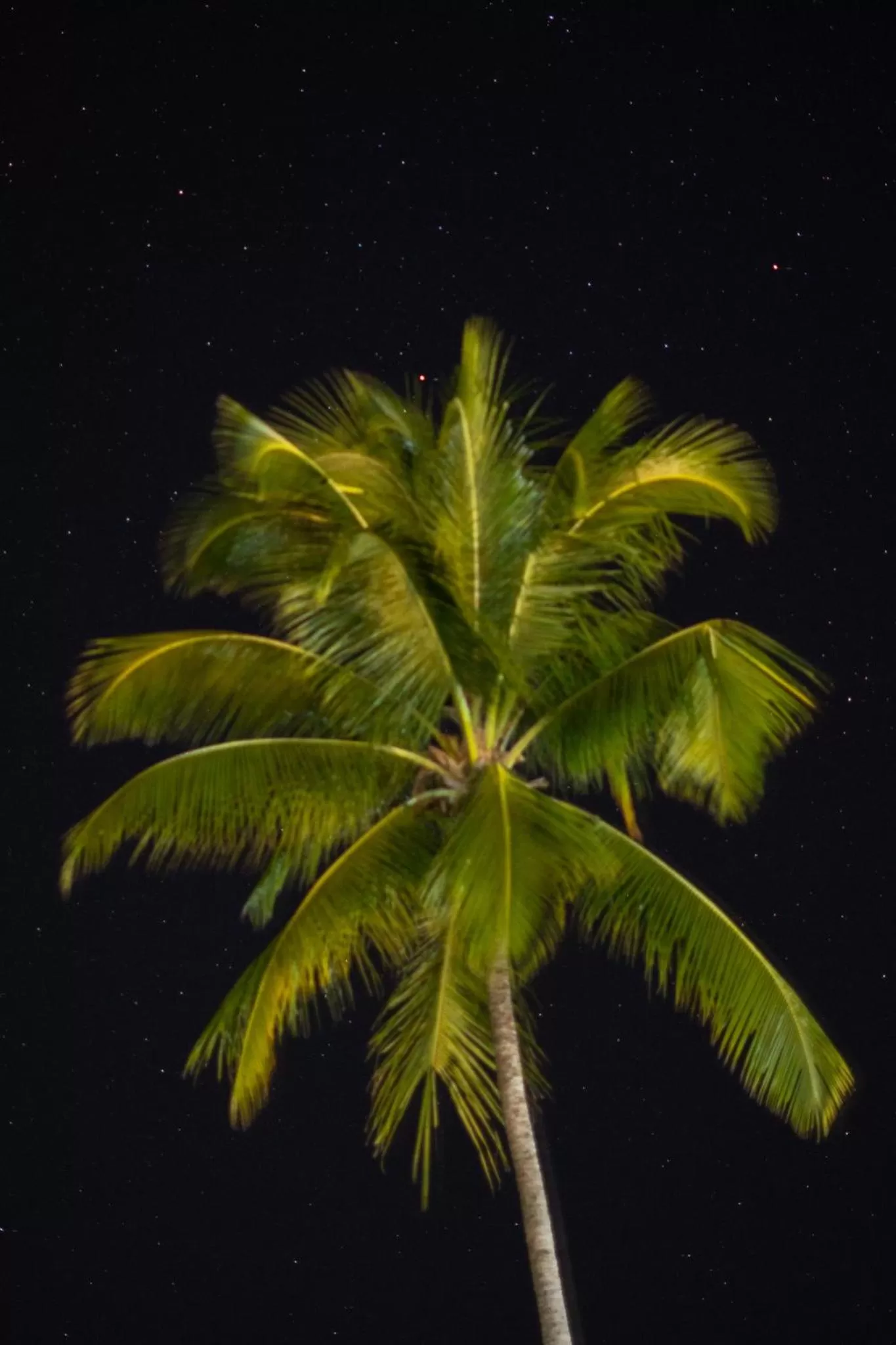 Night in Villa Canziani & Donato