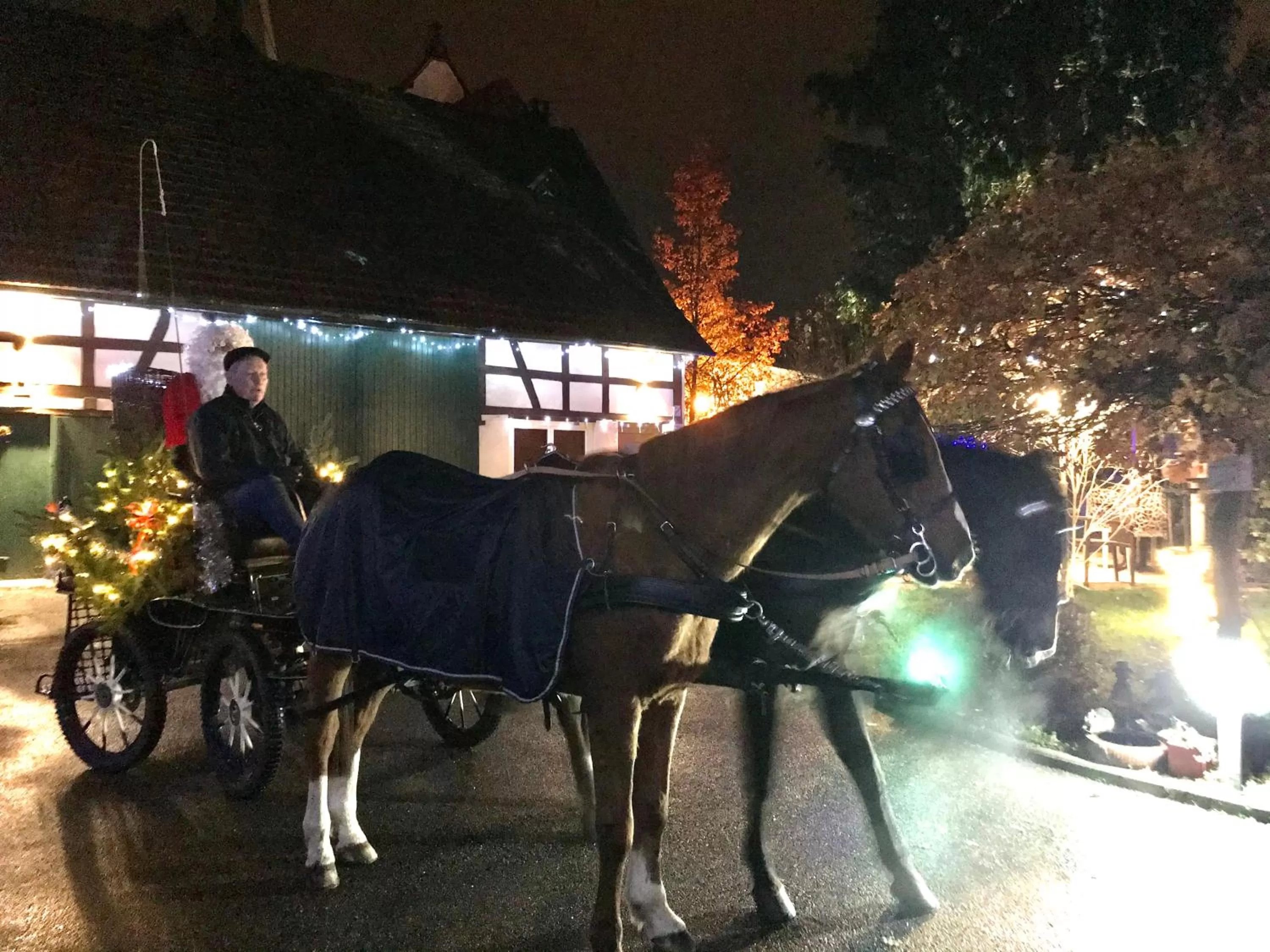 Activities in Maison d'hôtes Aux Deux Cigognes