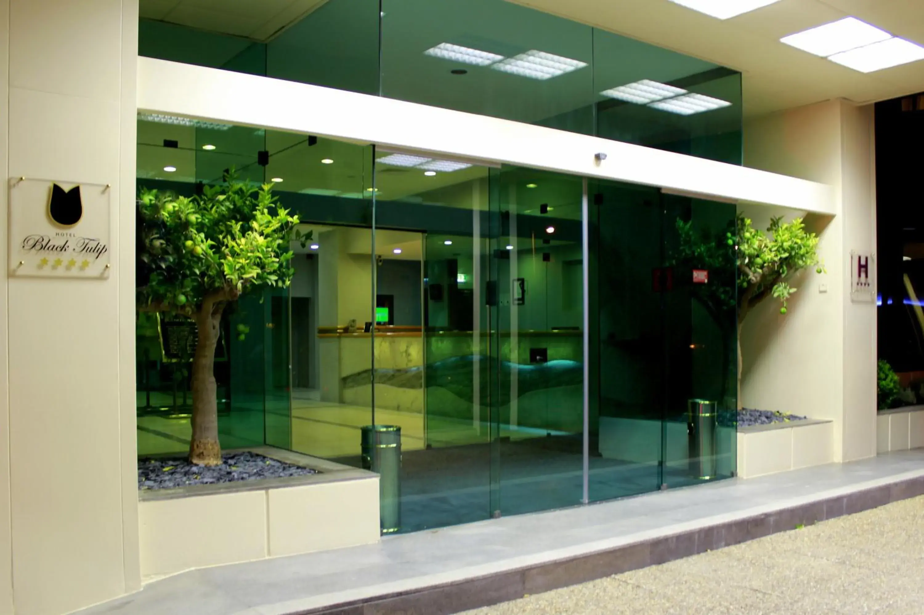 Facade/entrance in Hotel Black Tulip - Porto Gaia