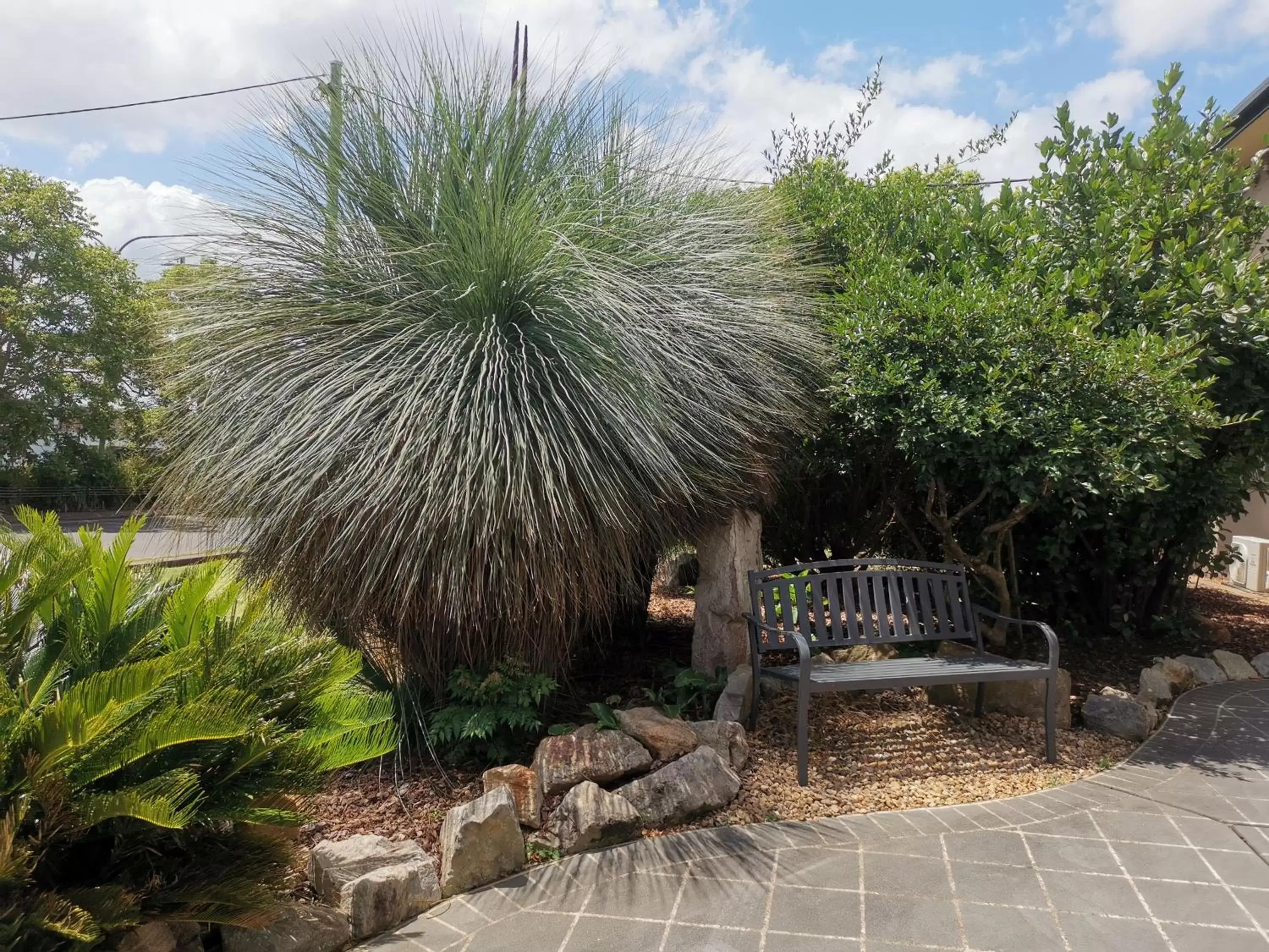 Garden in Leichhardt Motor Inn