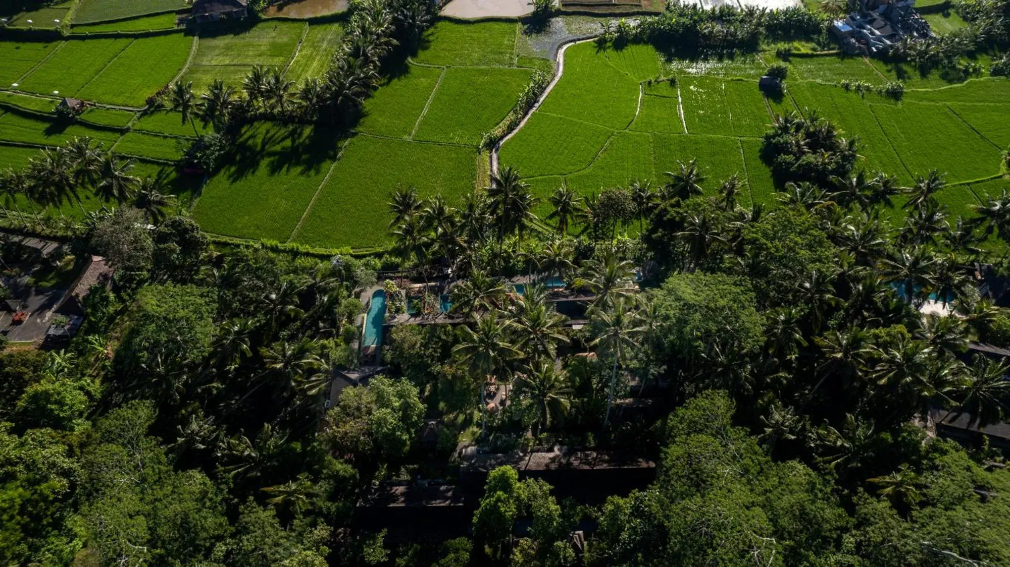 View (from property/room), Bird's-eye View in Ubud Padi Villas