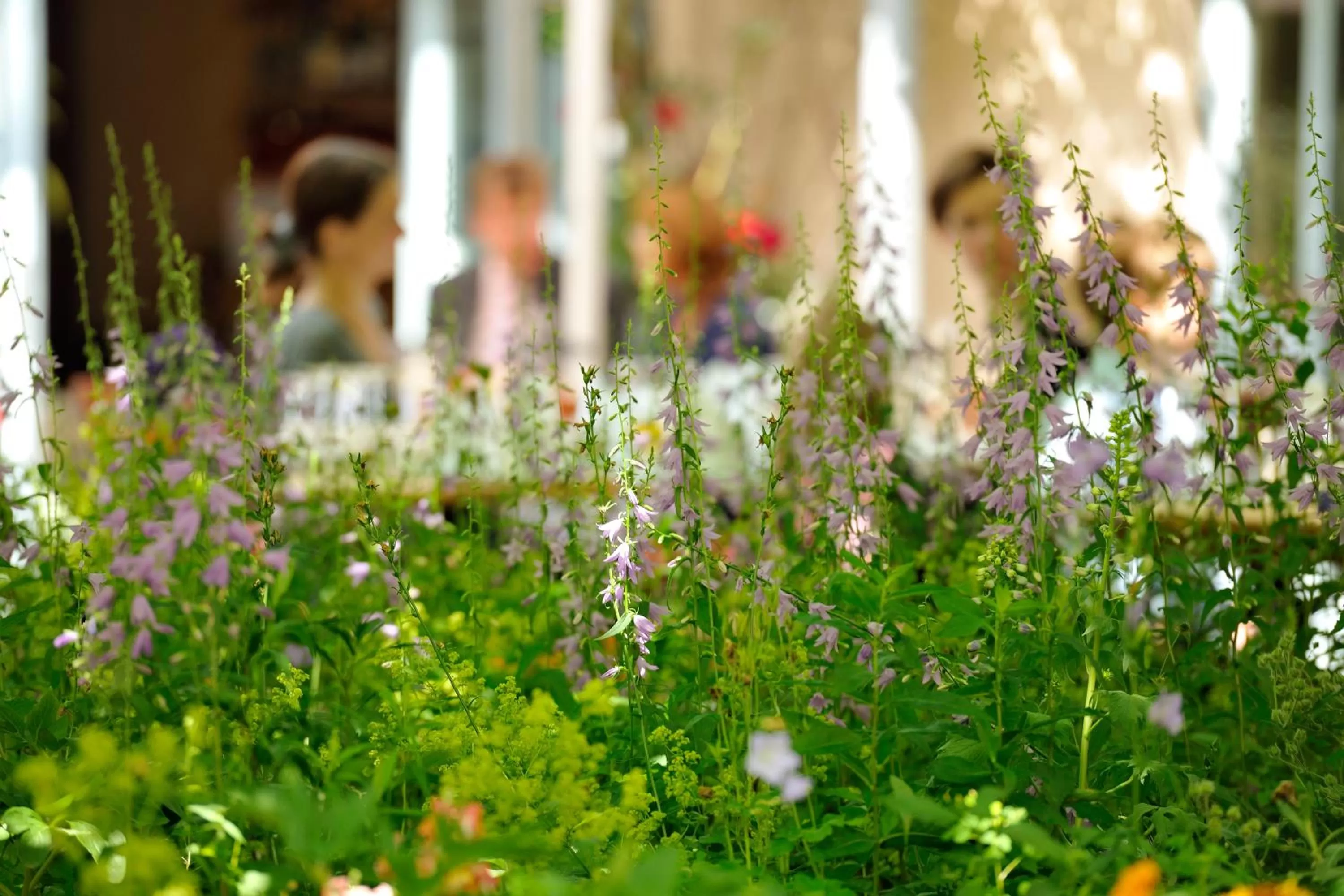 Other in Werkhof Hotel