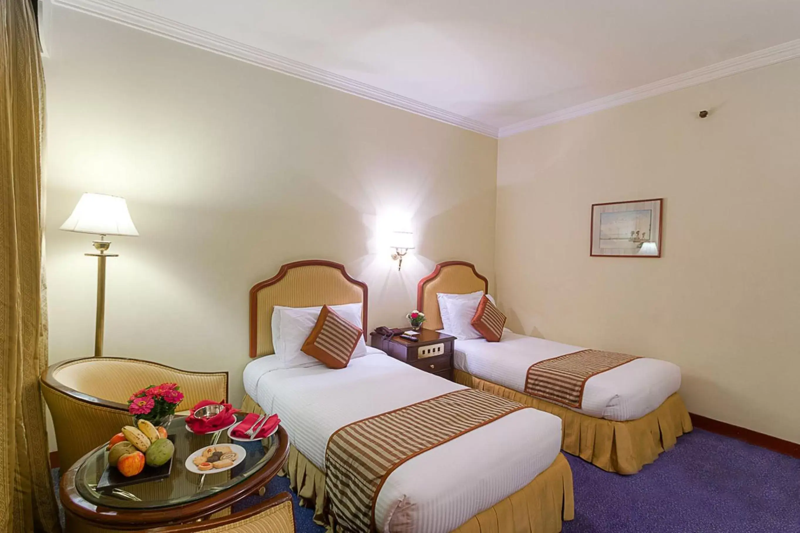 Deluxe Twin Room - single occupancy - 20% Discount on Buffet at Restaurant & 15% Discount at BAR in The Everest Hotel